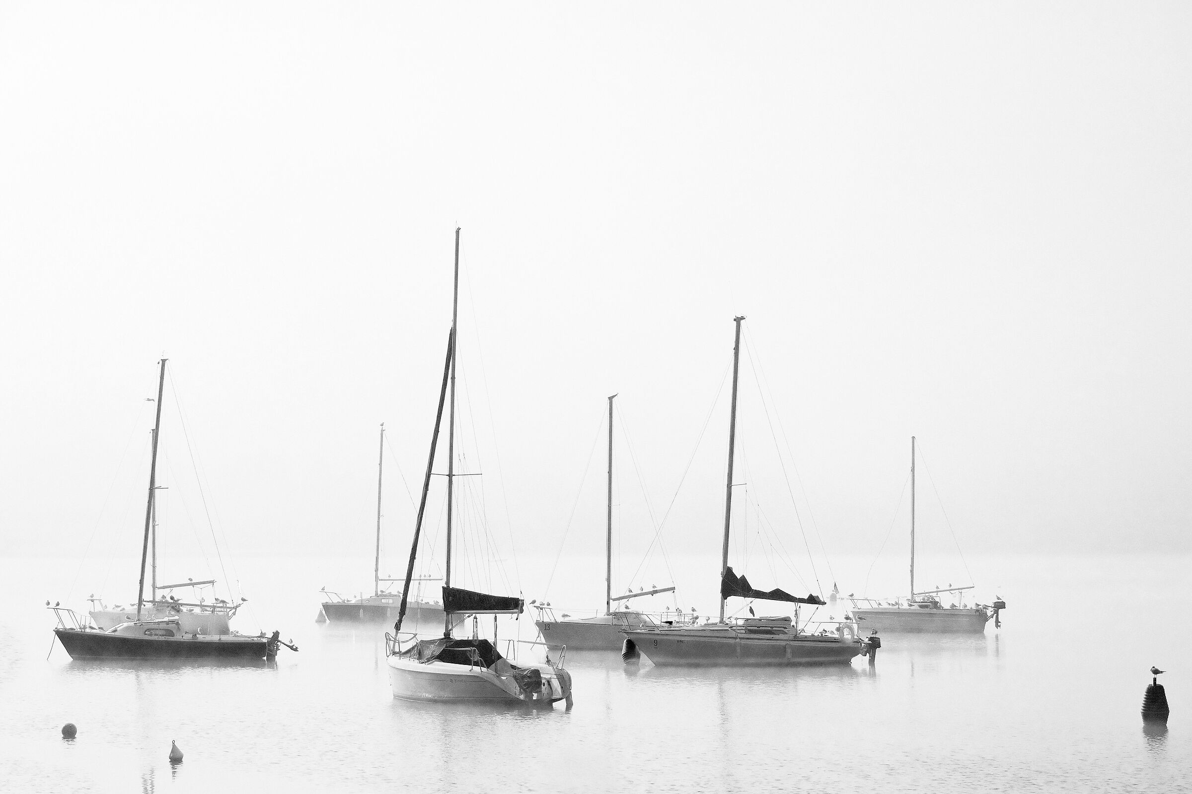 Ormeggiate nella foschia