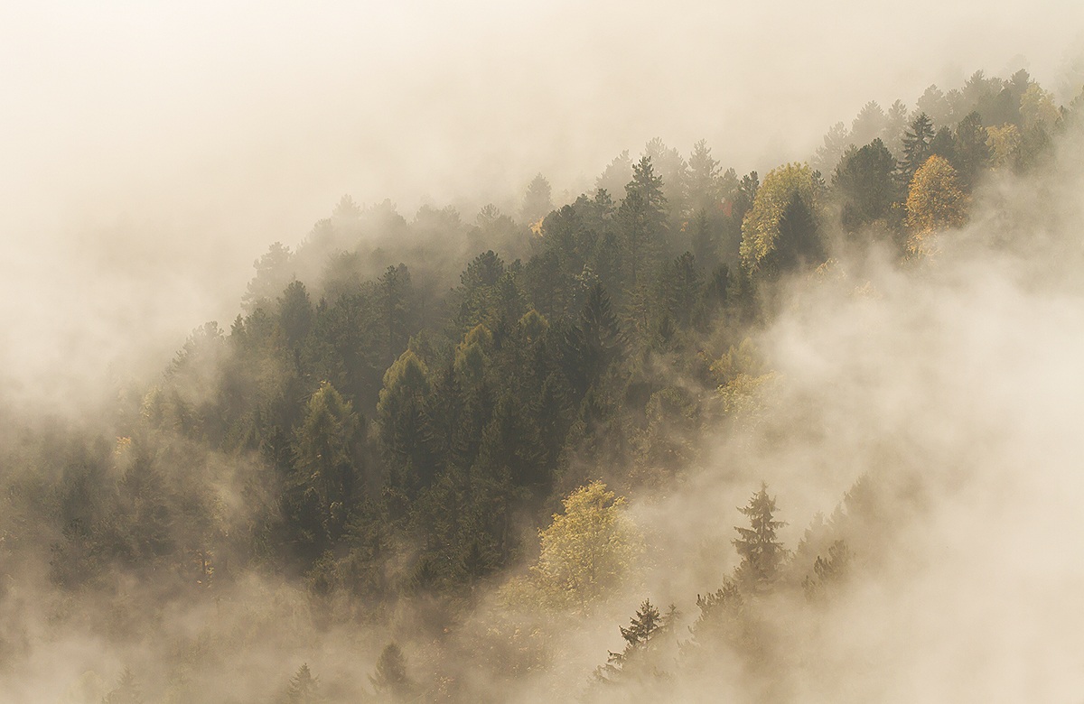 Quando la nebbia aperto