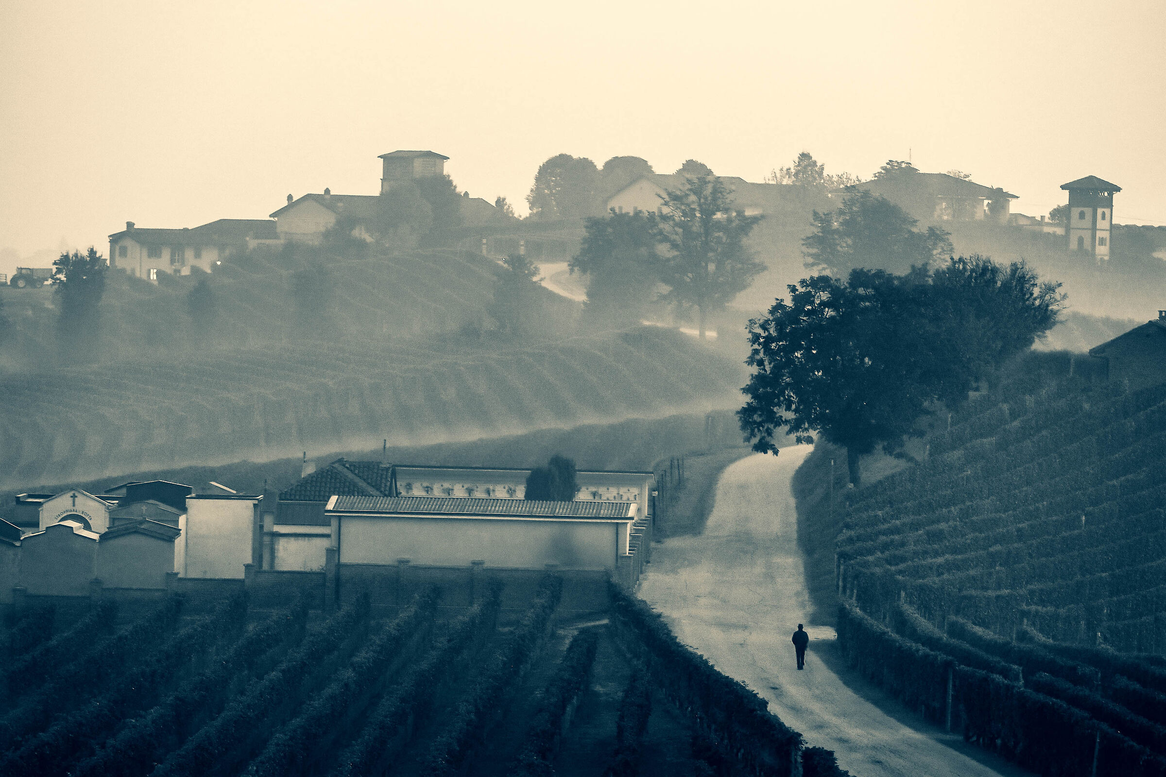 L'alba nelle Langhe (la Morra)