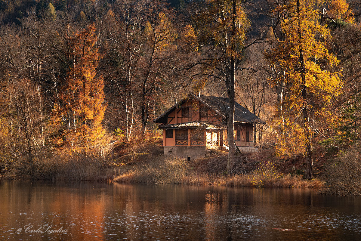 The house in the woods