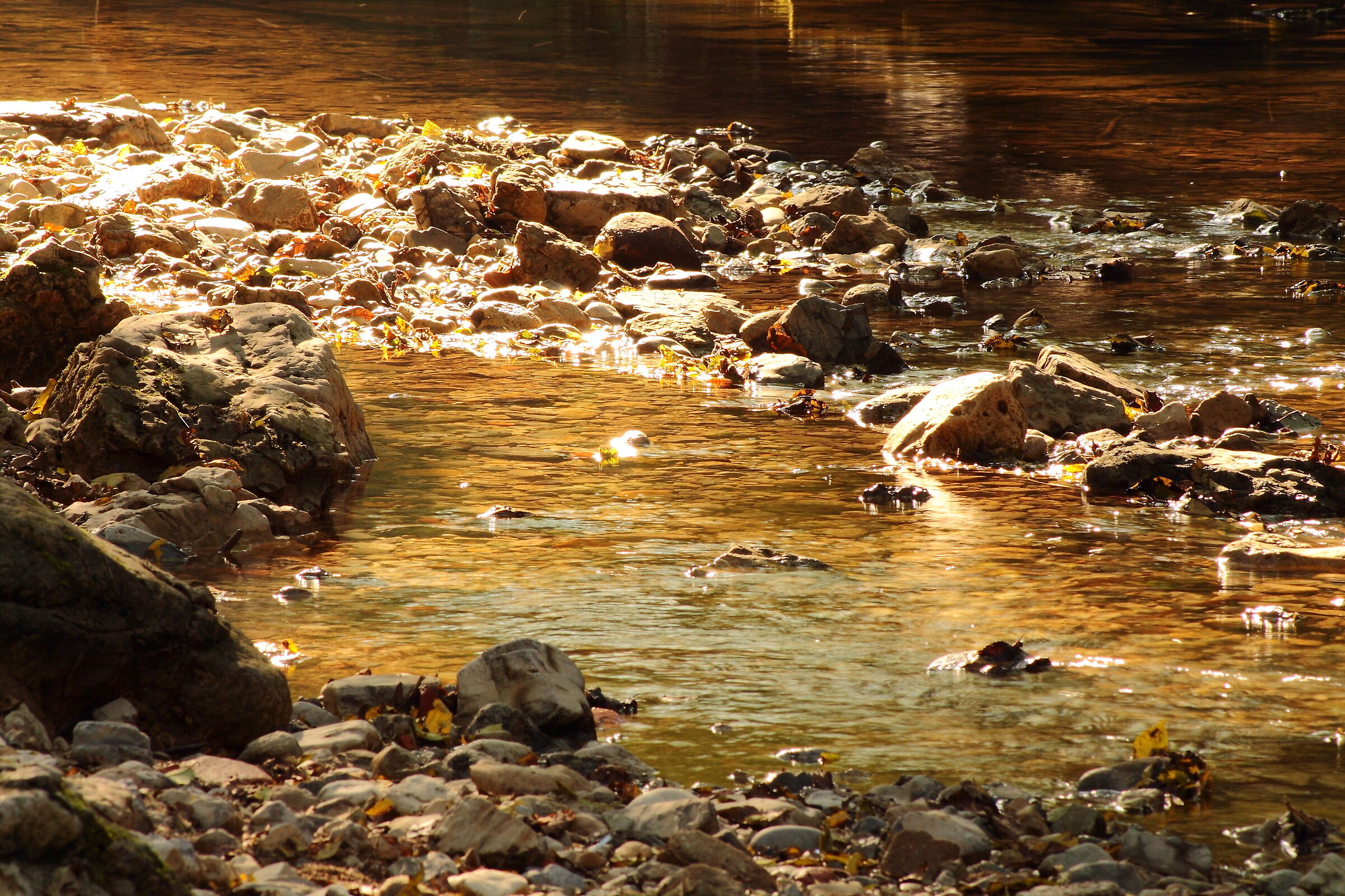 Torrente