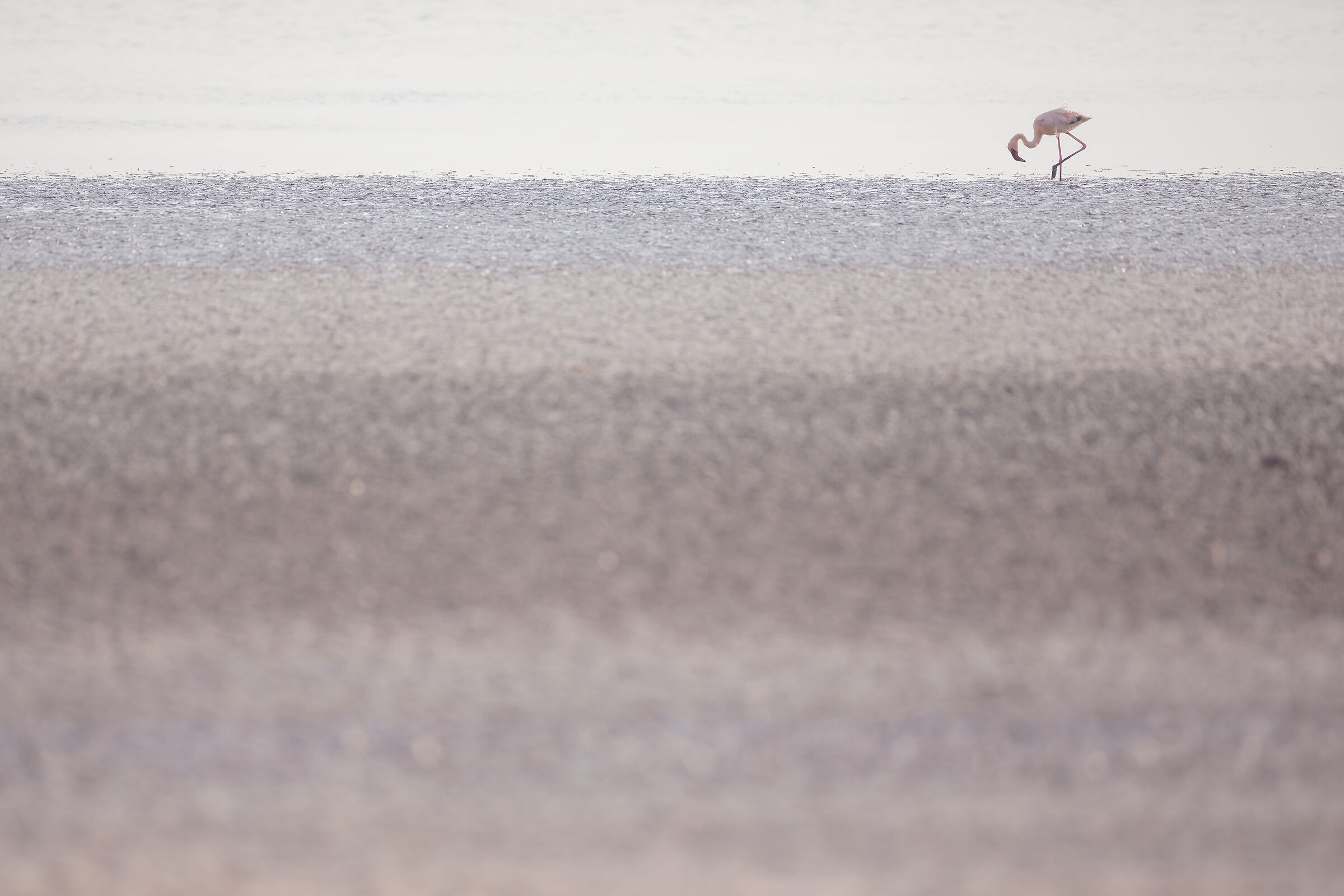 Natron lake
