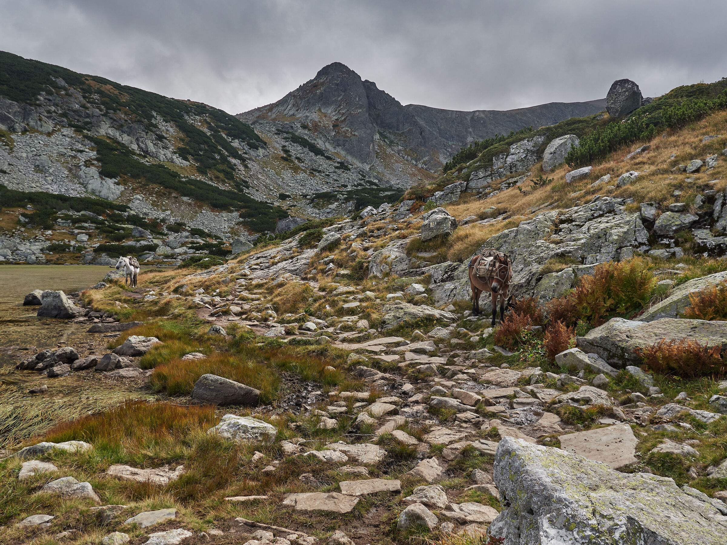 Building a road in the mountains