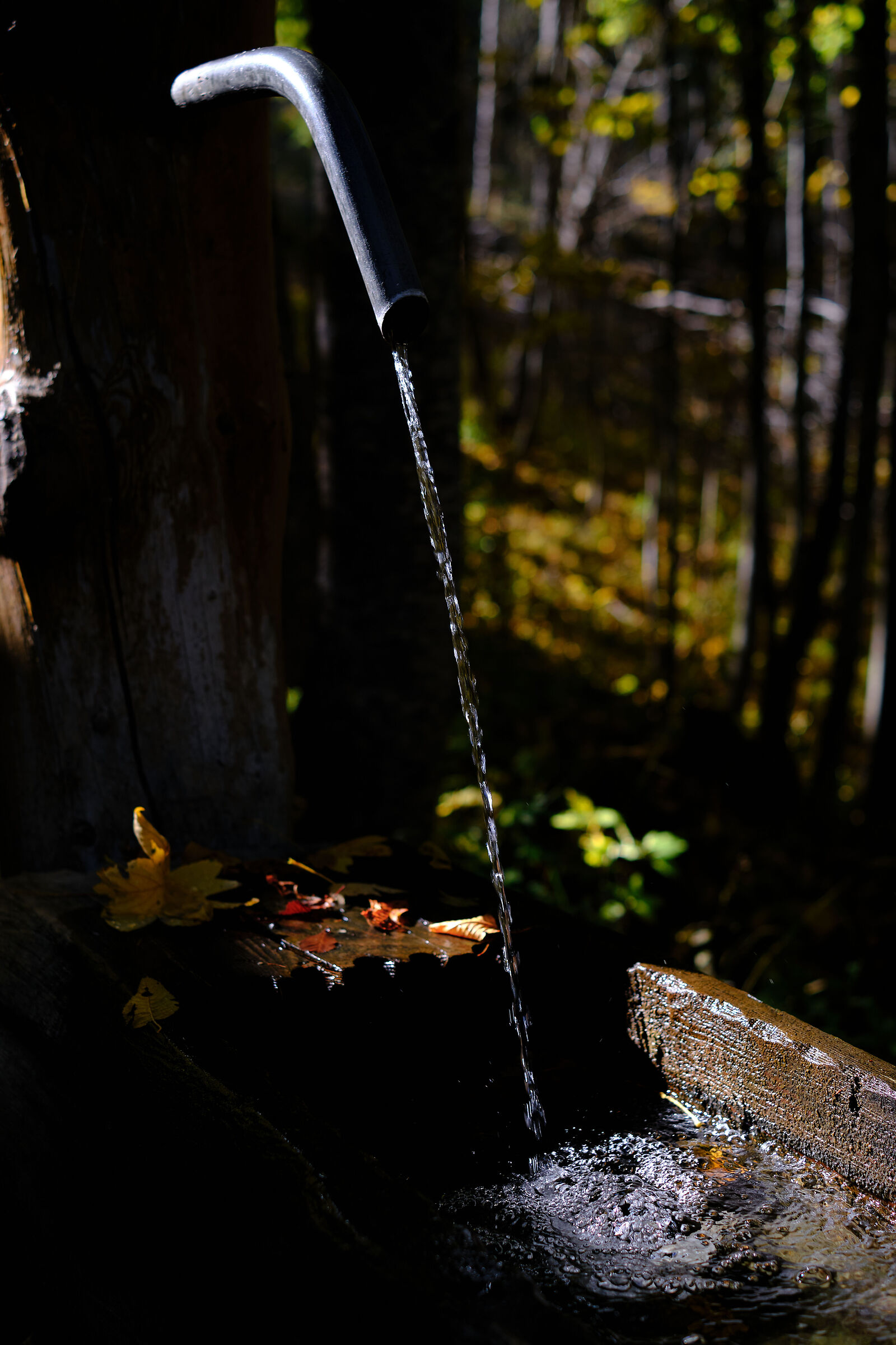 fonte di montagna in autunno