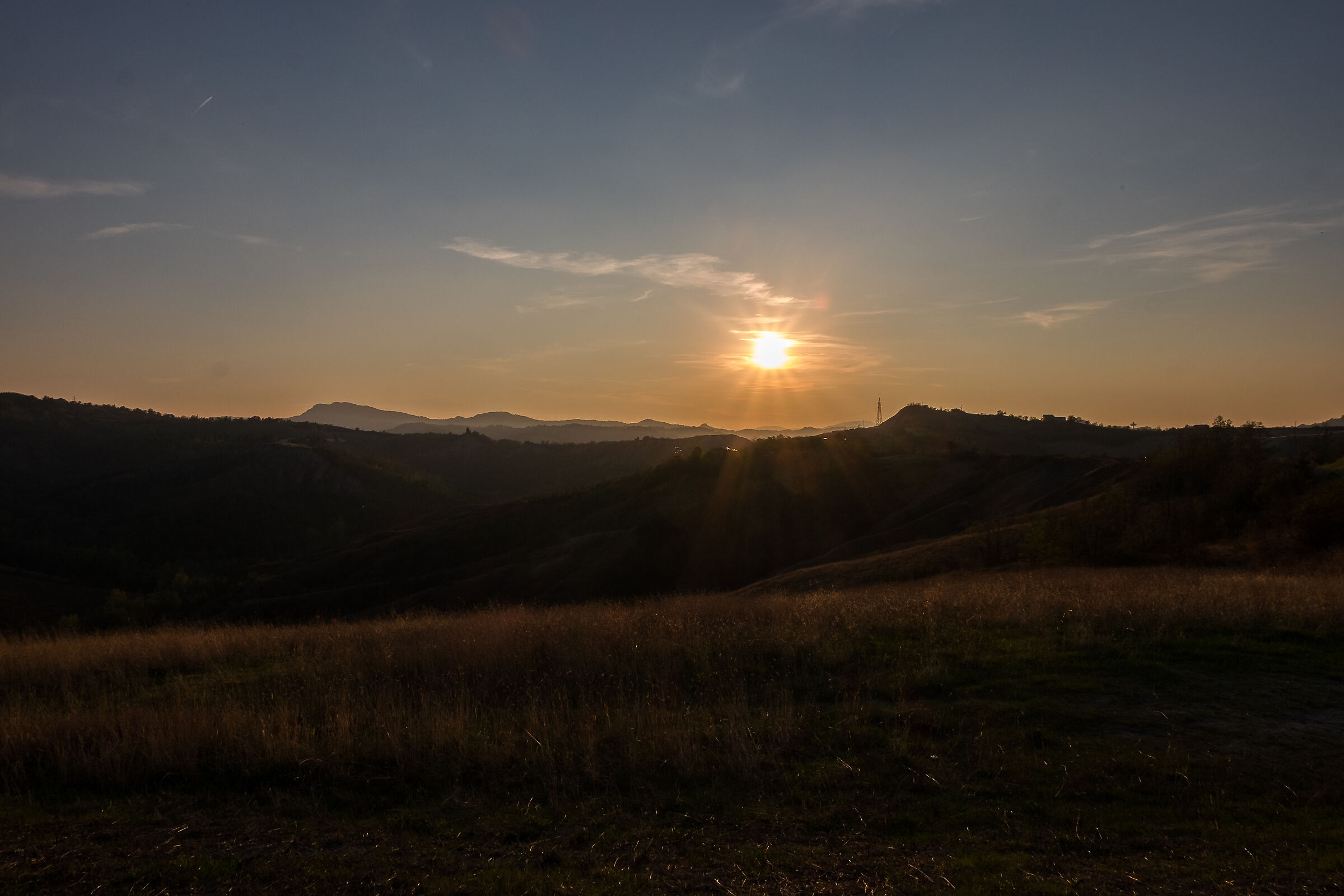 Untitled Photo