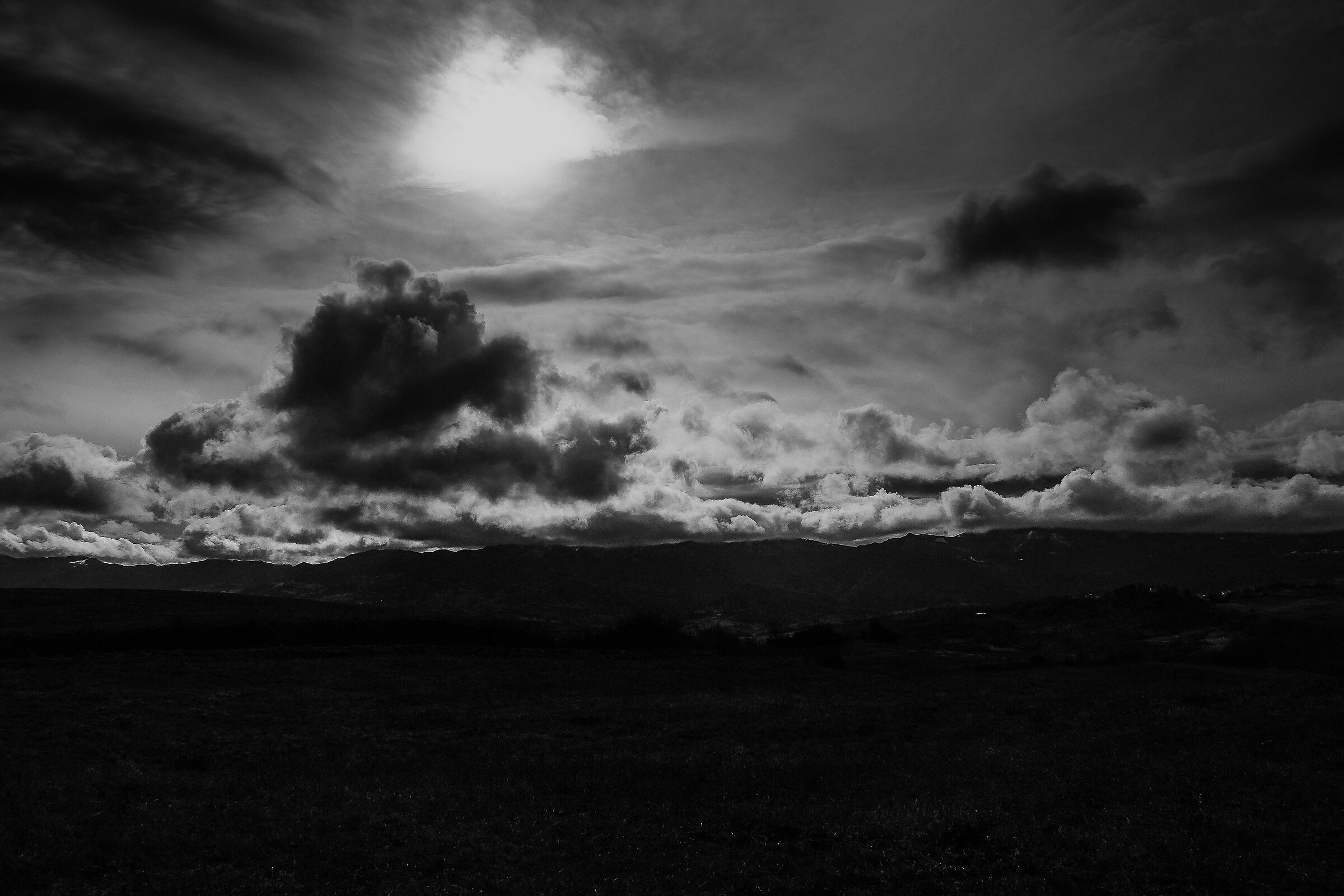 Untitled Photo