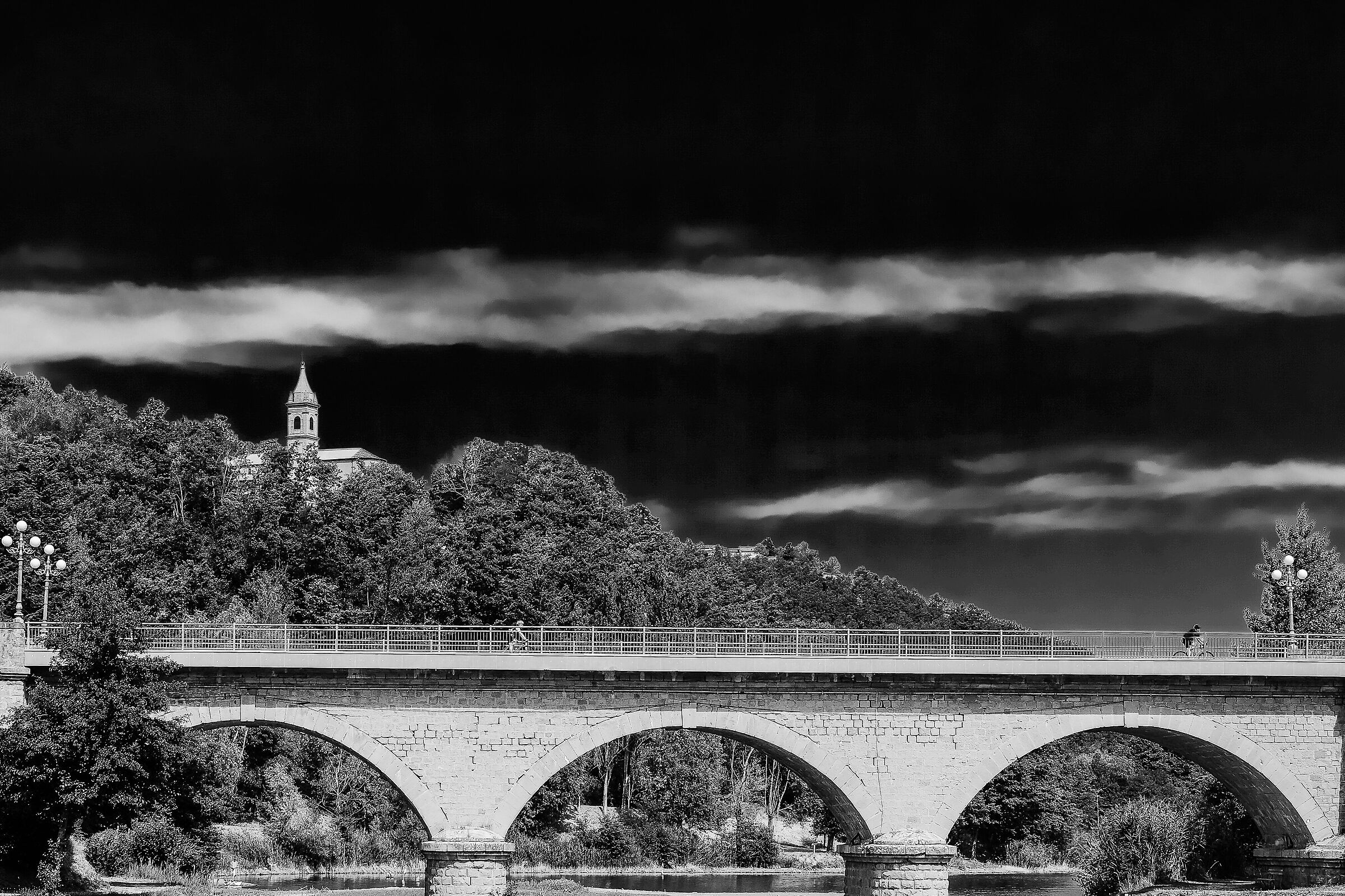 Untitled Photo