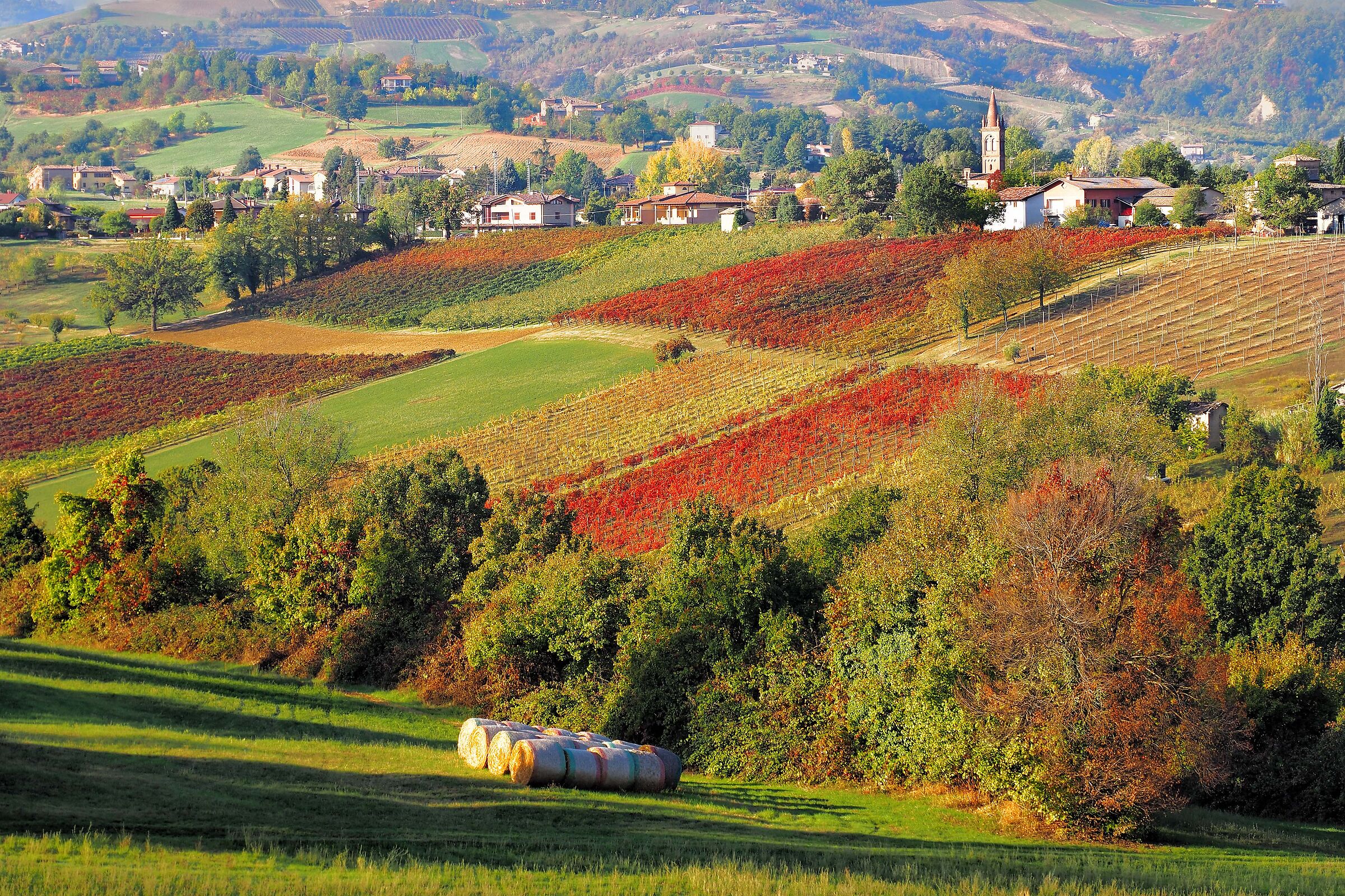 Autumn on the hills of Modena