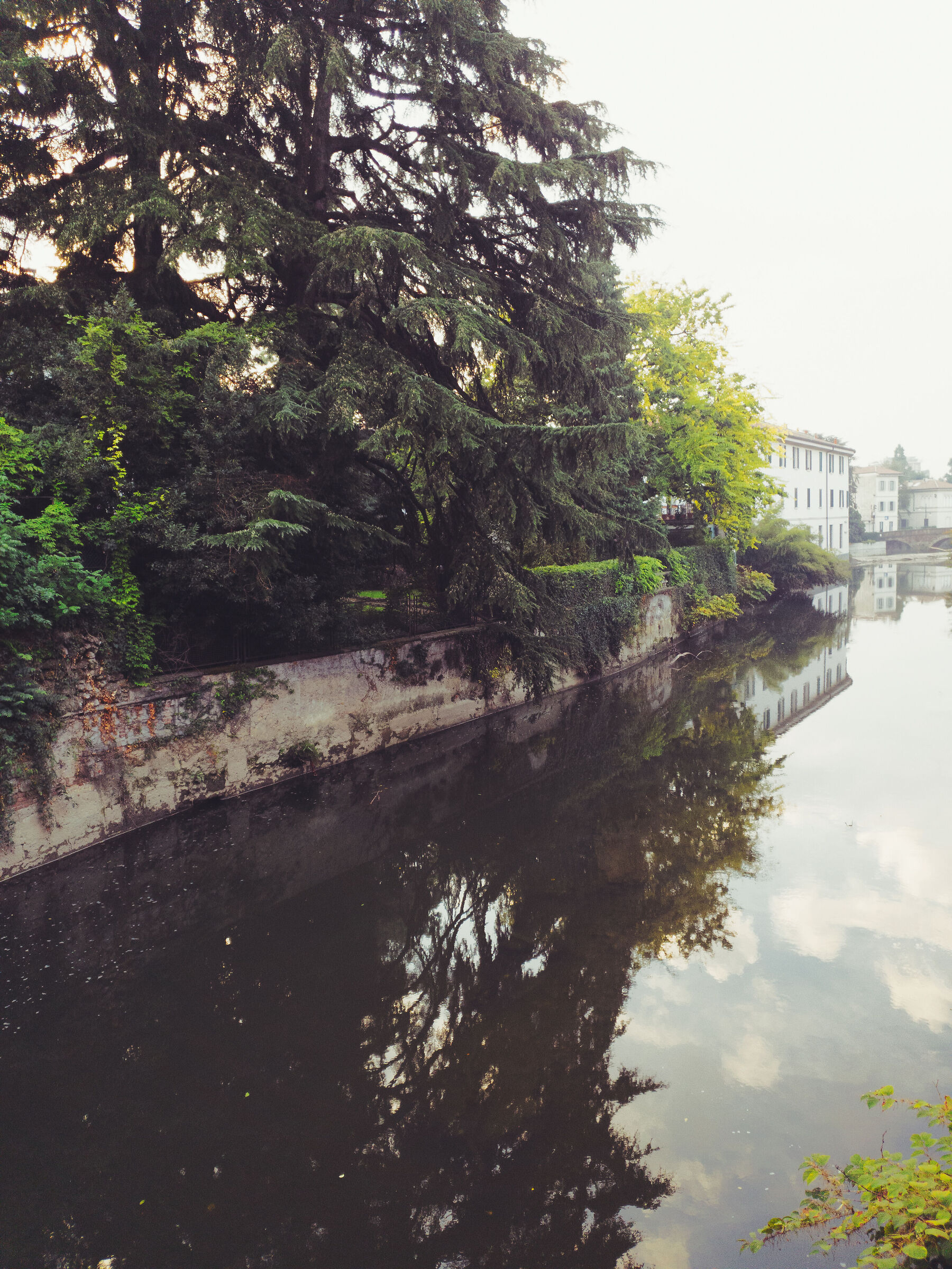Untitled Photo