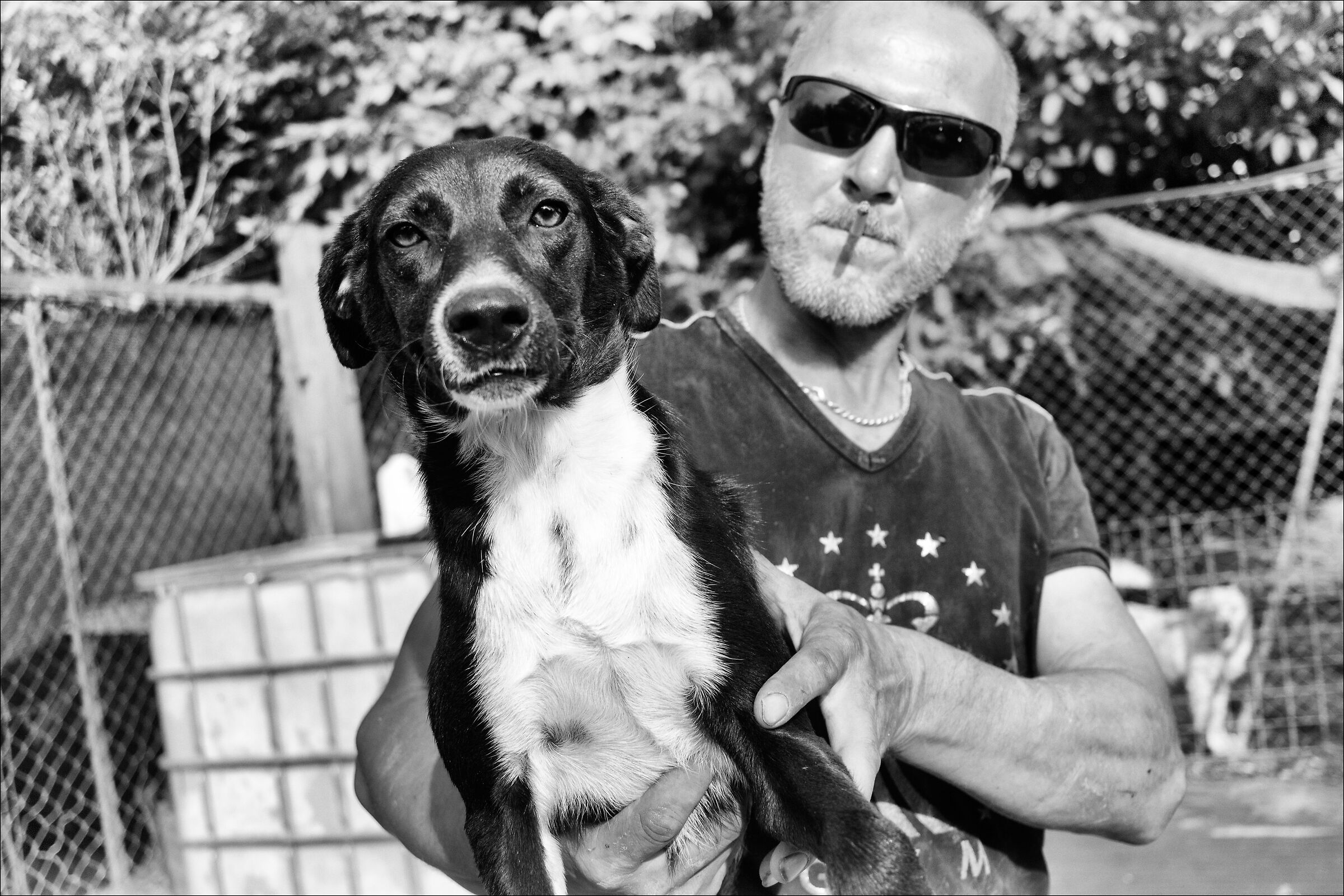 lovers... per noi loro sono importanti