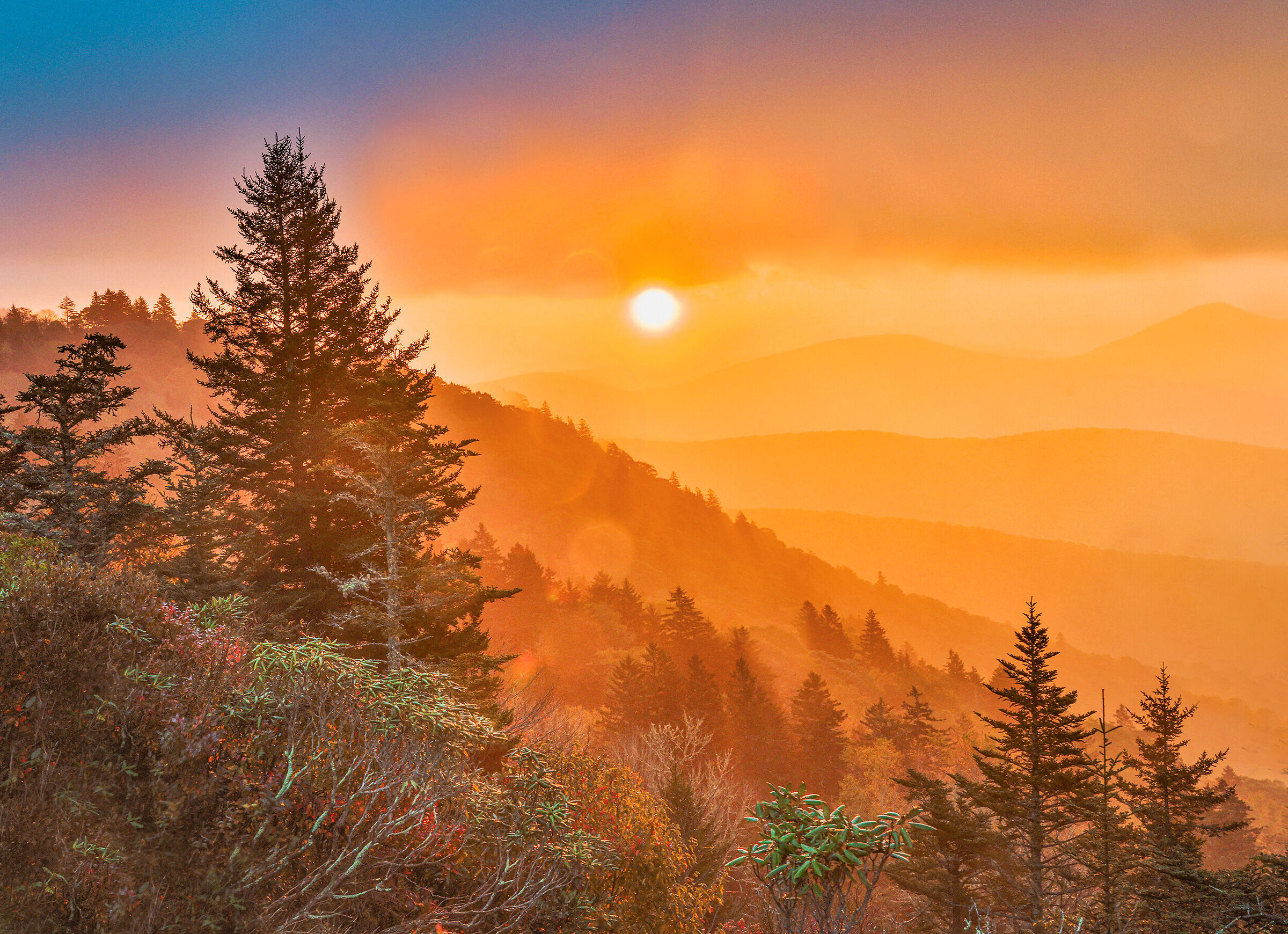 Sunrise in the Mist, Blue Ridge Parkway.