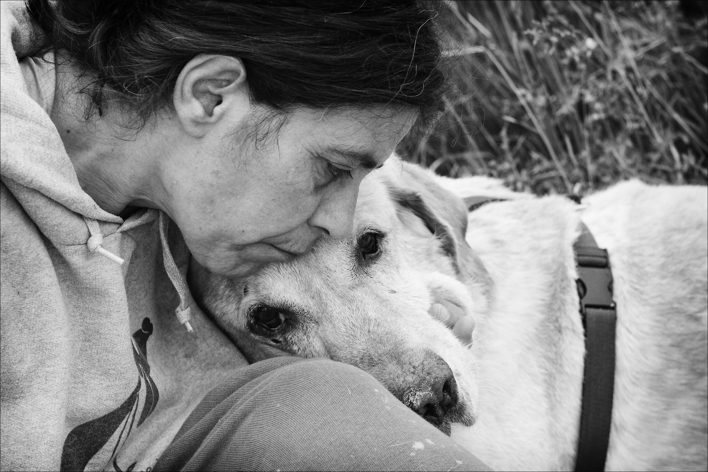 lovers... per noi loro sono importanti