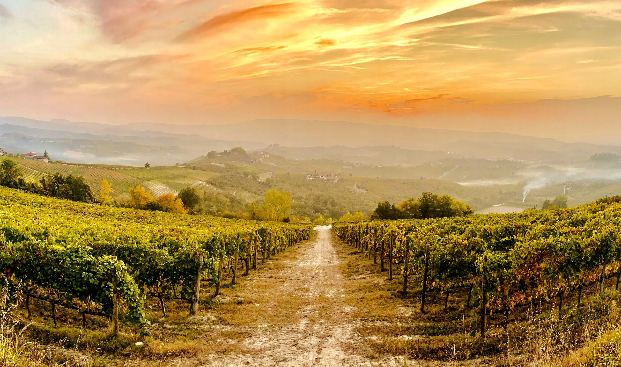 Tramonto nelle Langhe