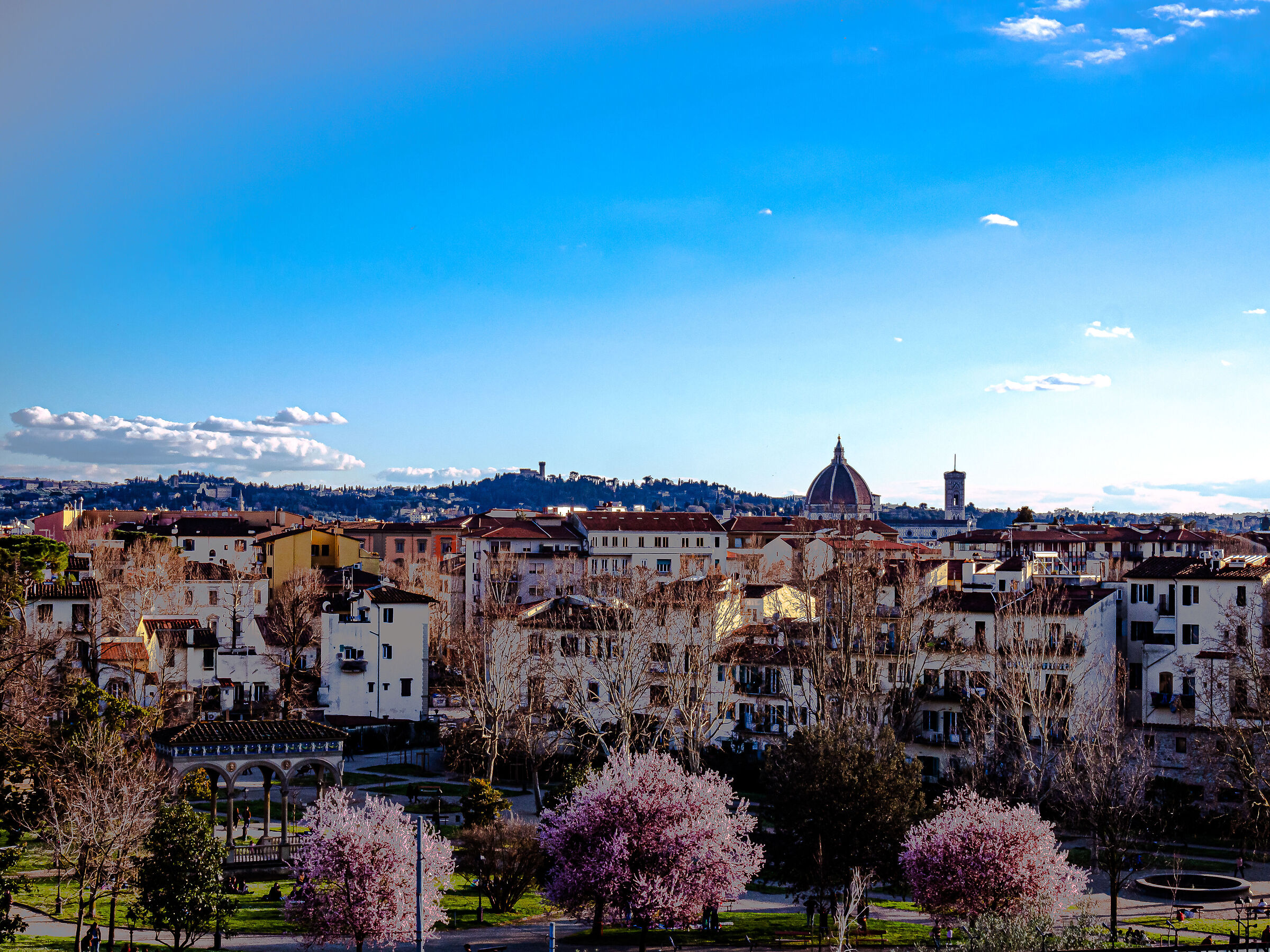 Spring skyline of Florence