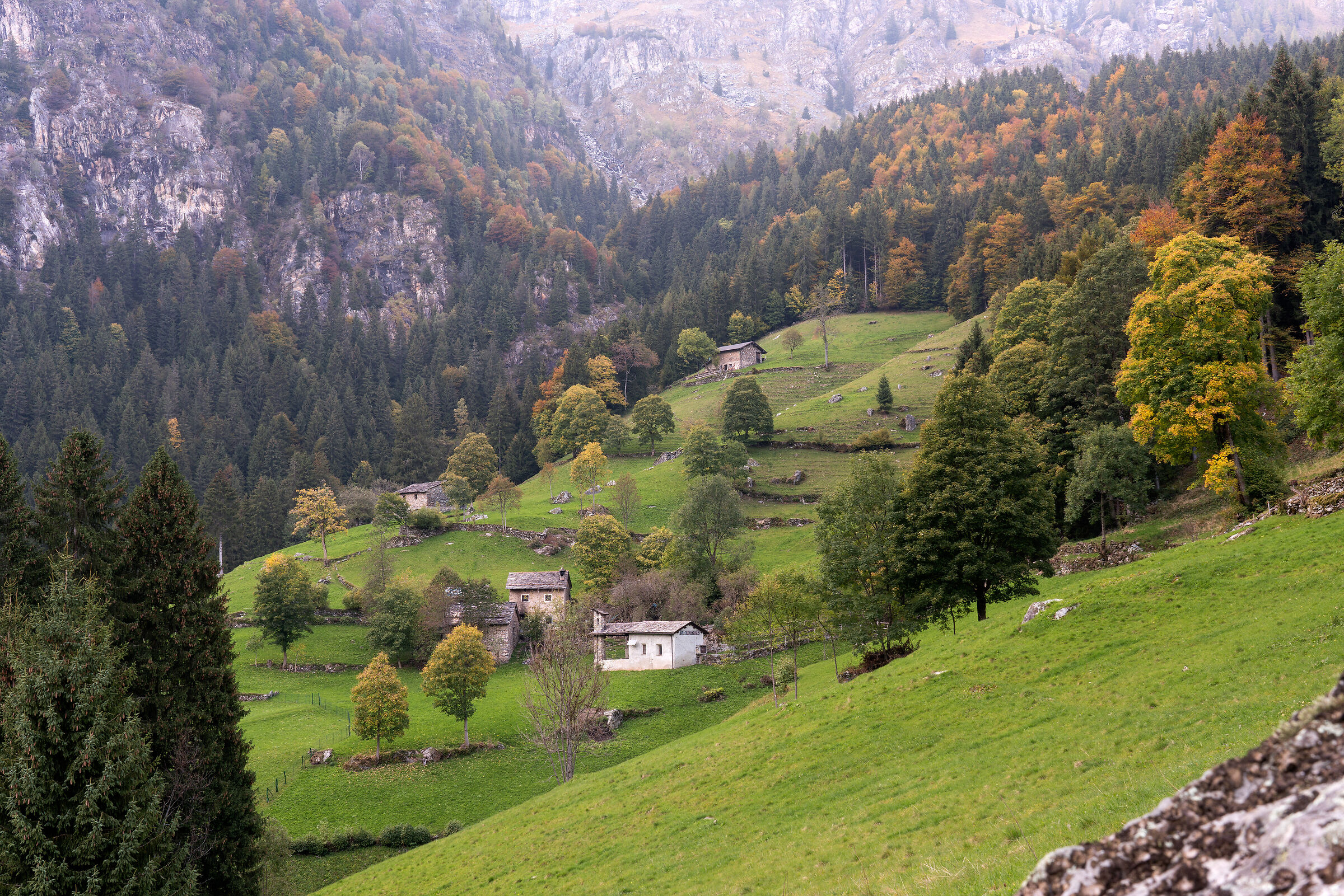 Valgoglio