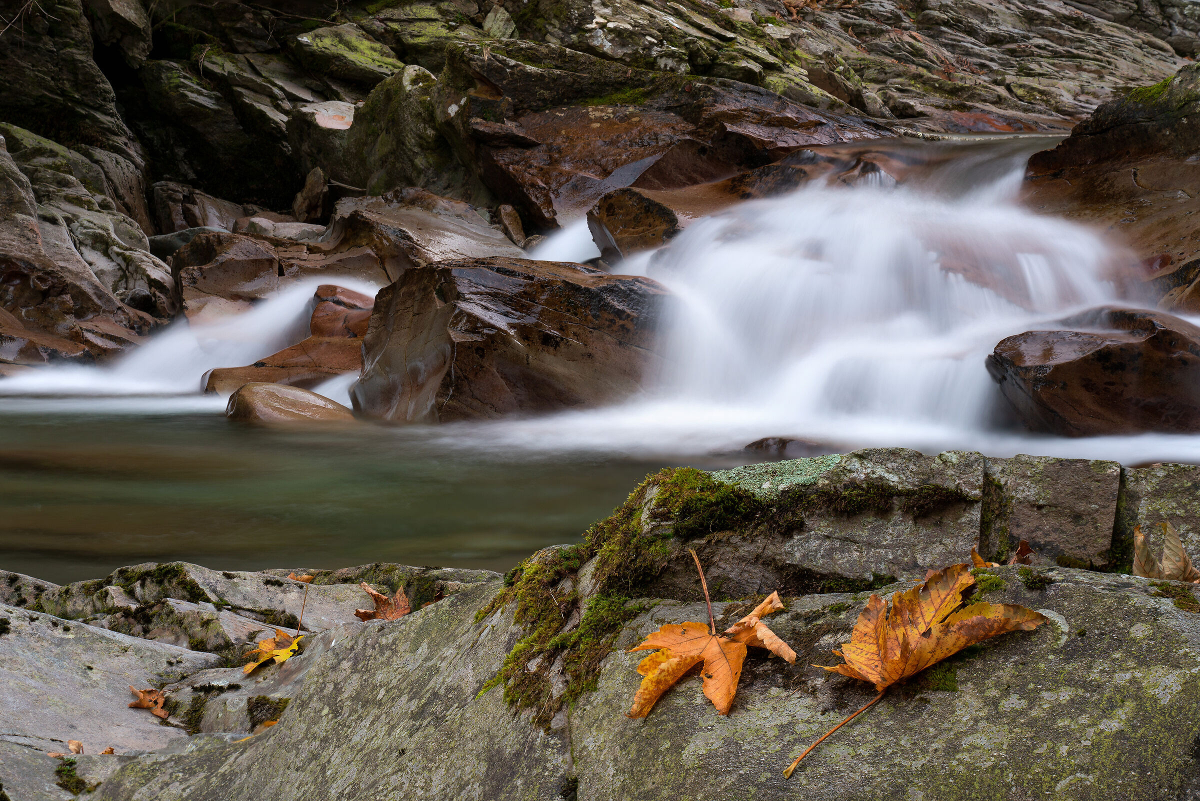 Autunno in Val Sanguigno