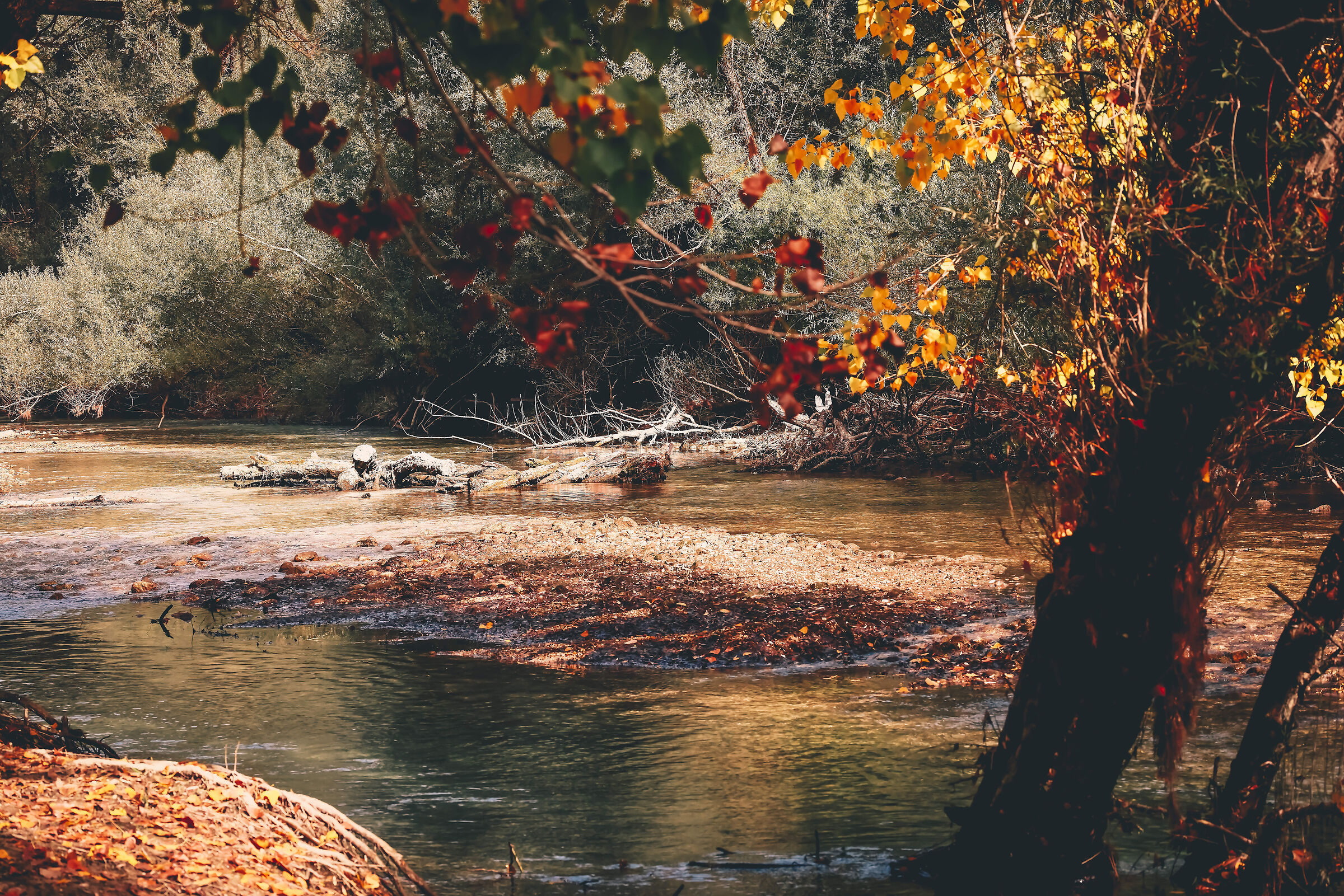 Autumn is just around the corner