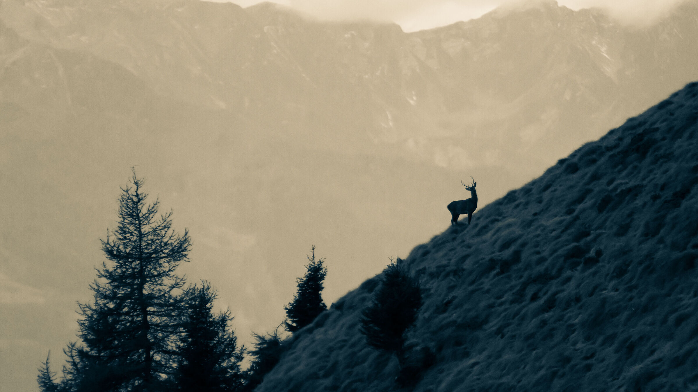 Bramito 2021 (Valtellina SO)