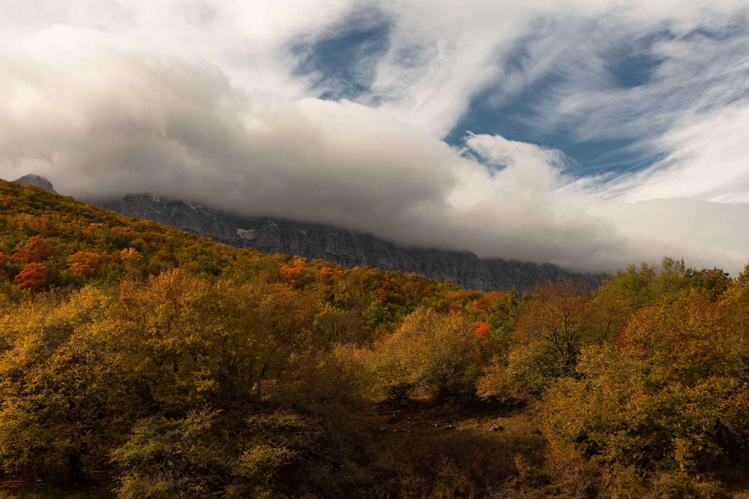 The sirente wall on the expanse of beech trees