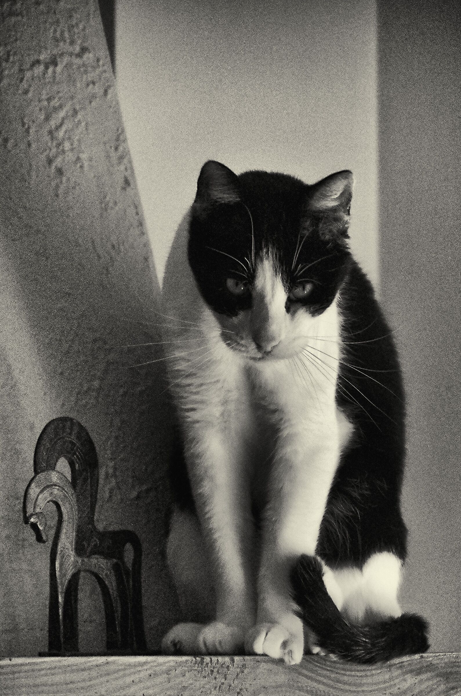 Non sono un soprammobile , ci siamo capiti ...?