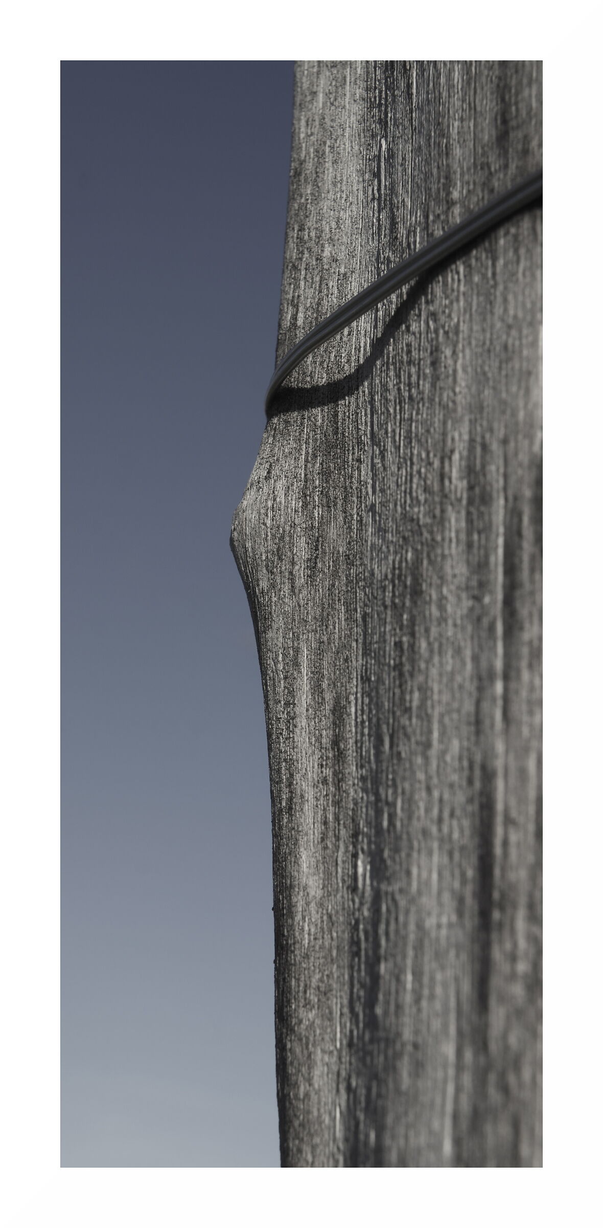Head Poles