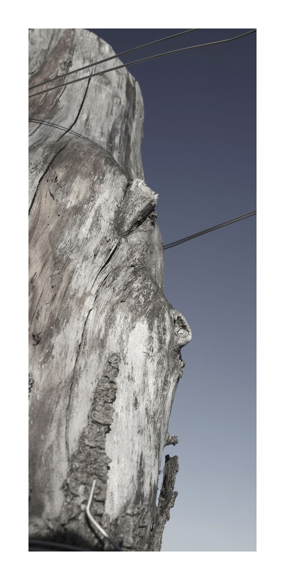 Head Poles
