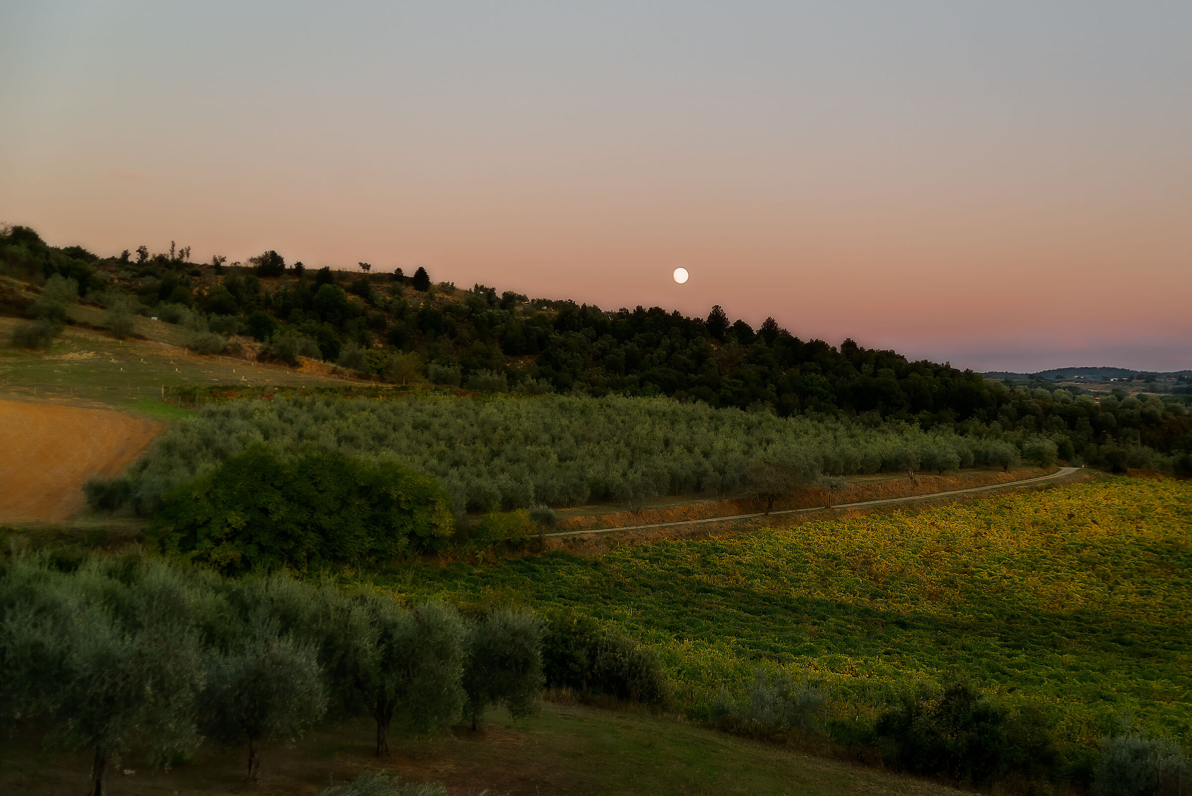 luna...un po' bruciata...foto quasi al volo