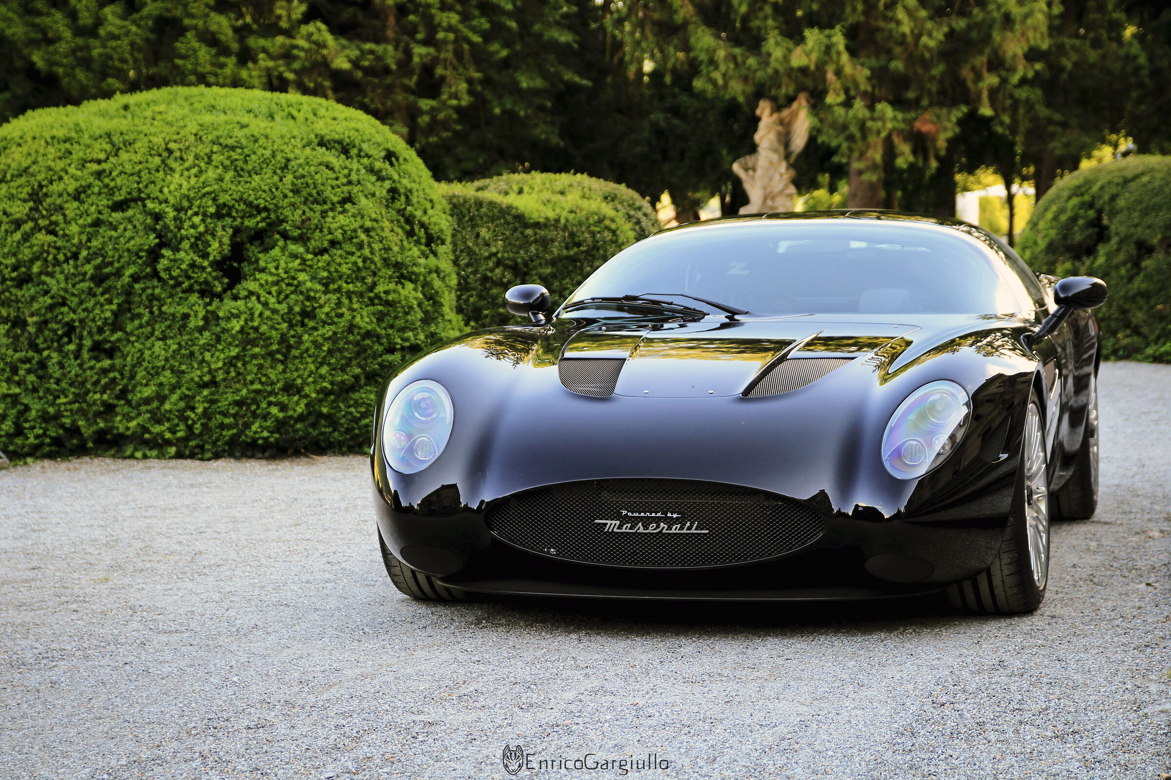Zagato Monster