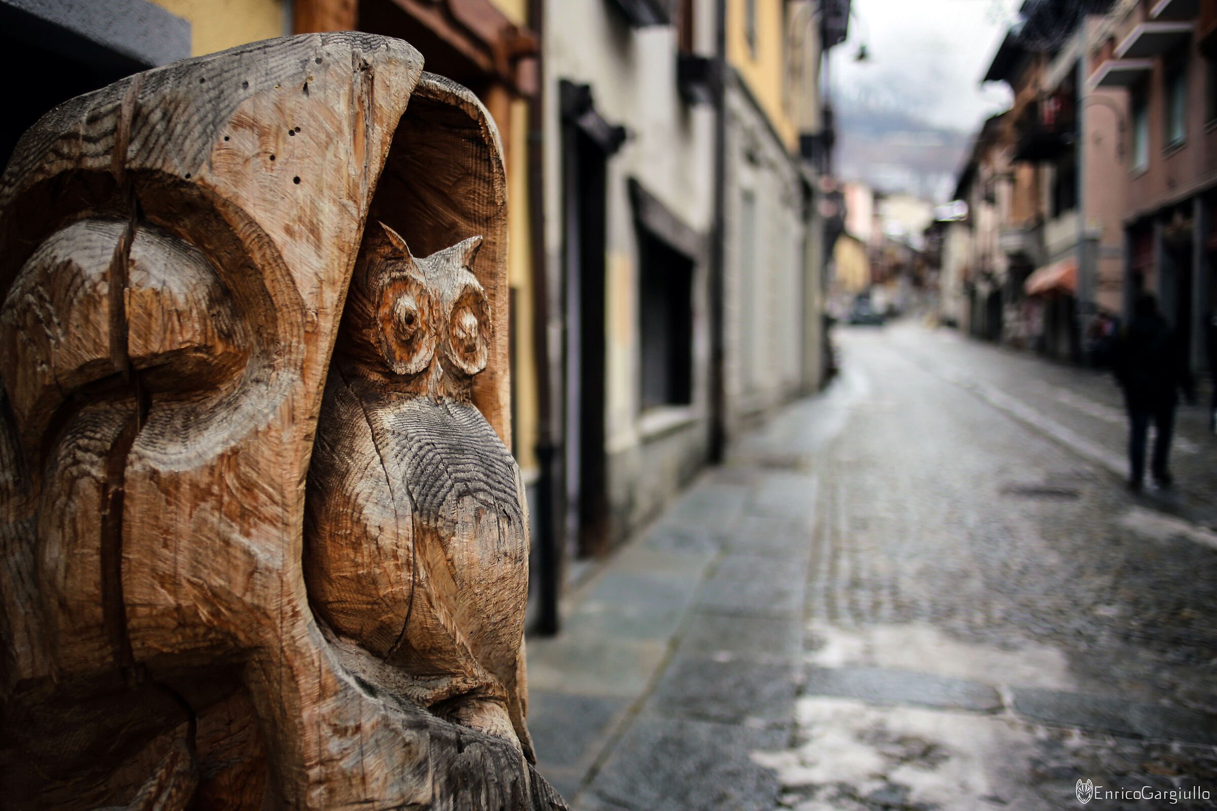 Wooden Owl