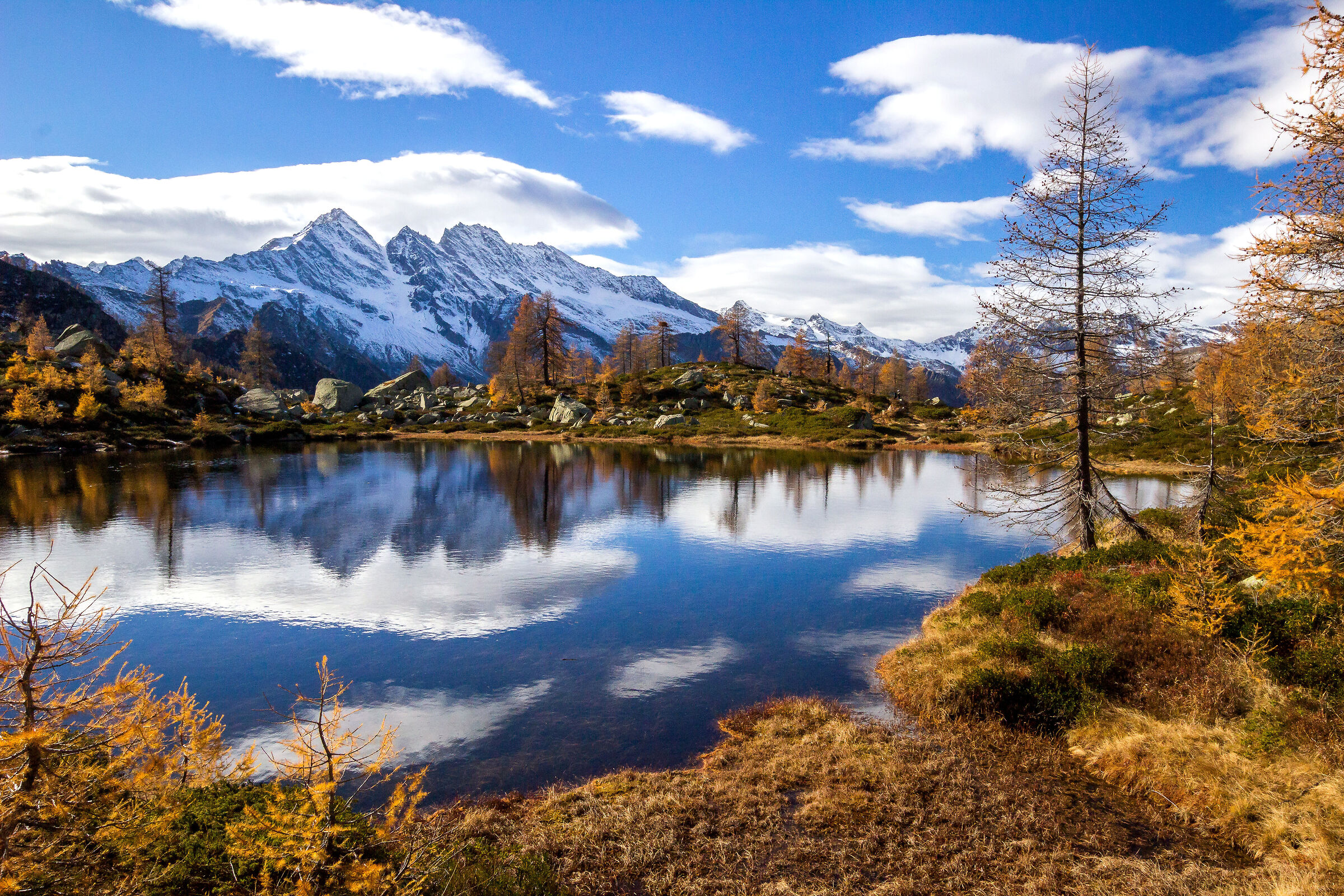 Autumn reflections