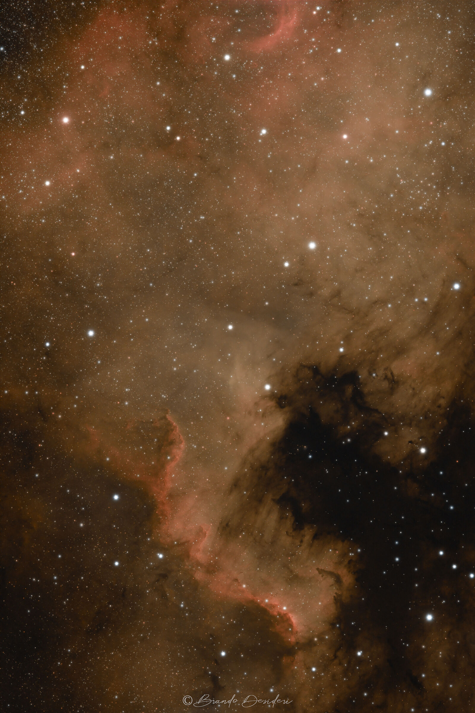The Cygnus Wall