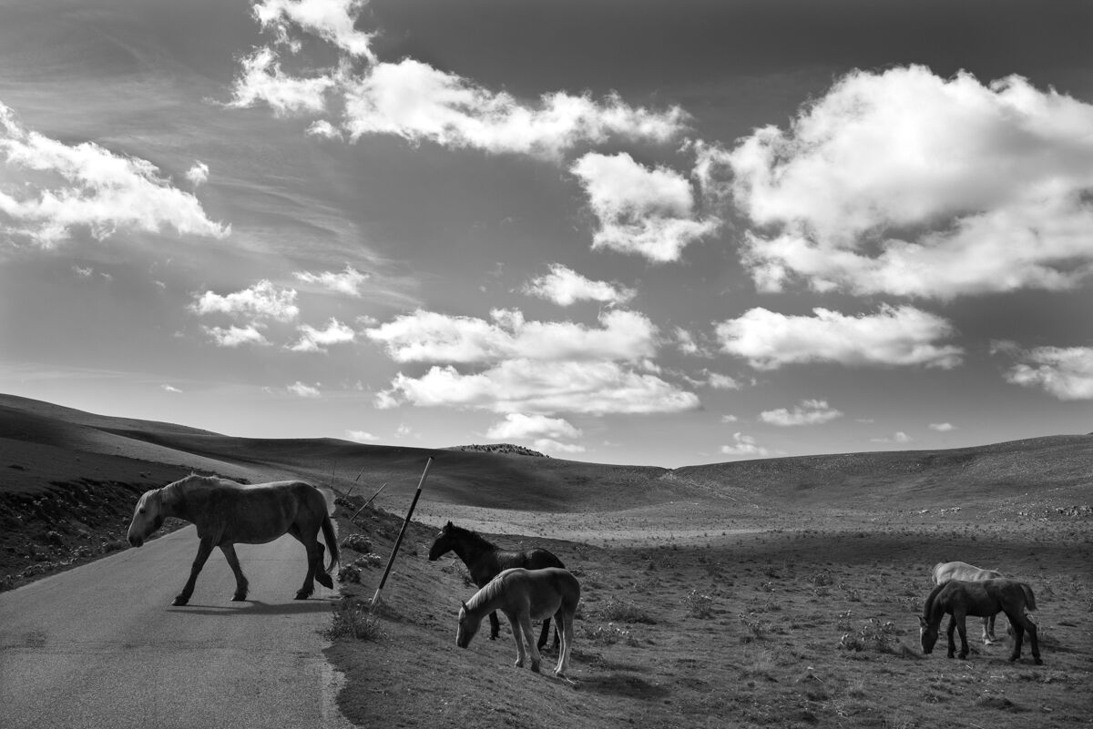 Campo Imperatore - L'Aquila -