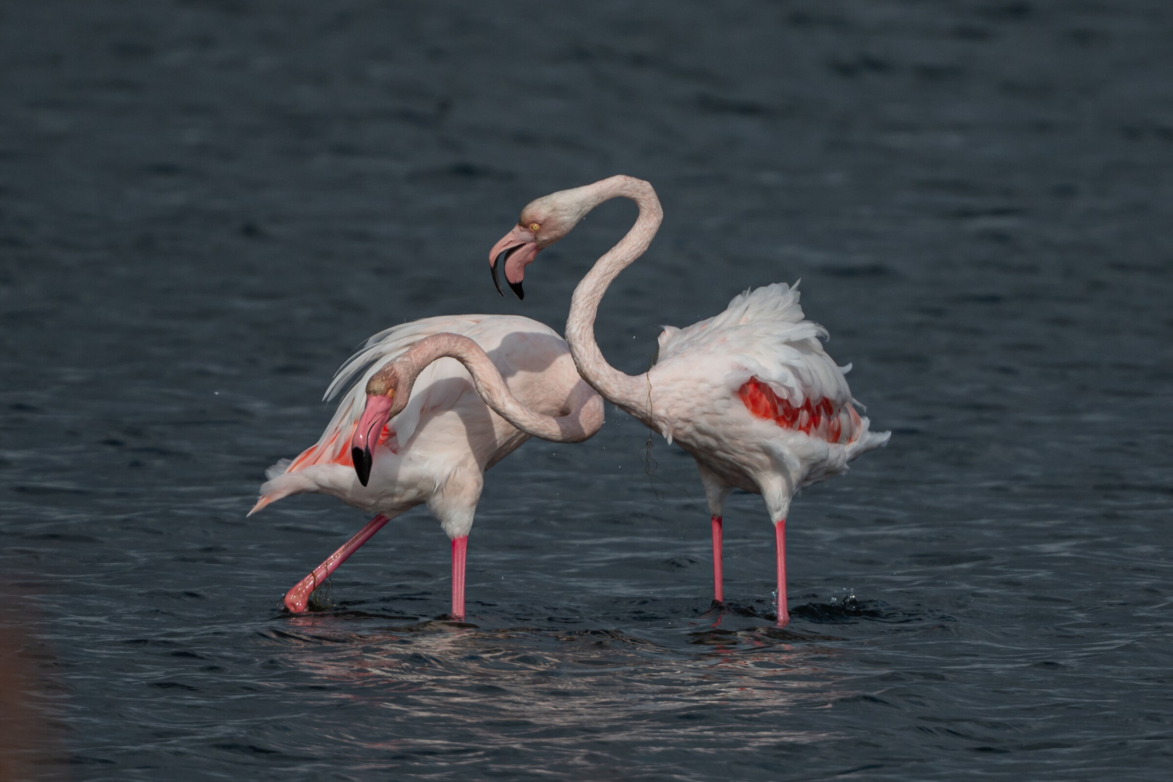 This is the time to go home?!?!