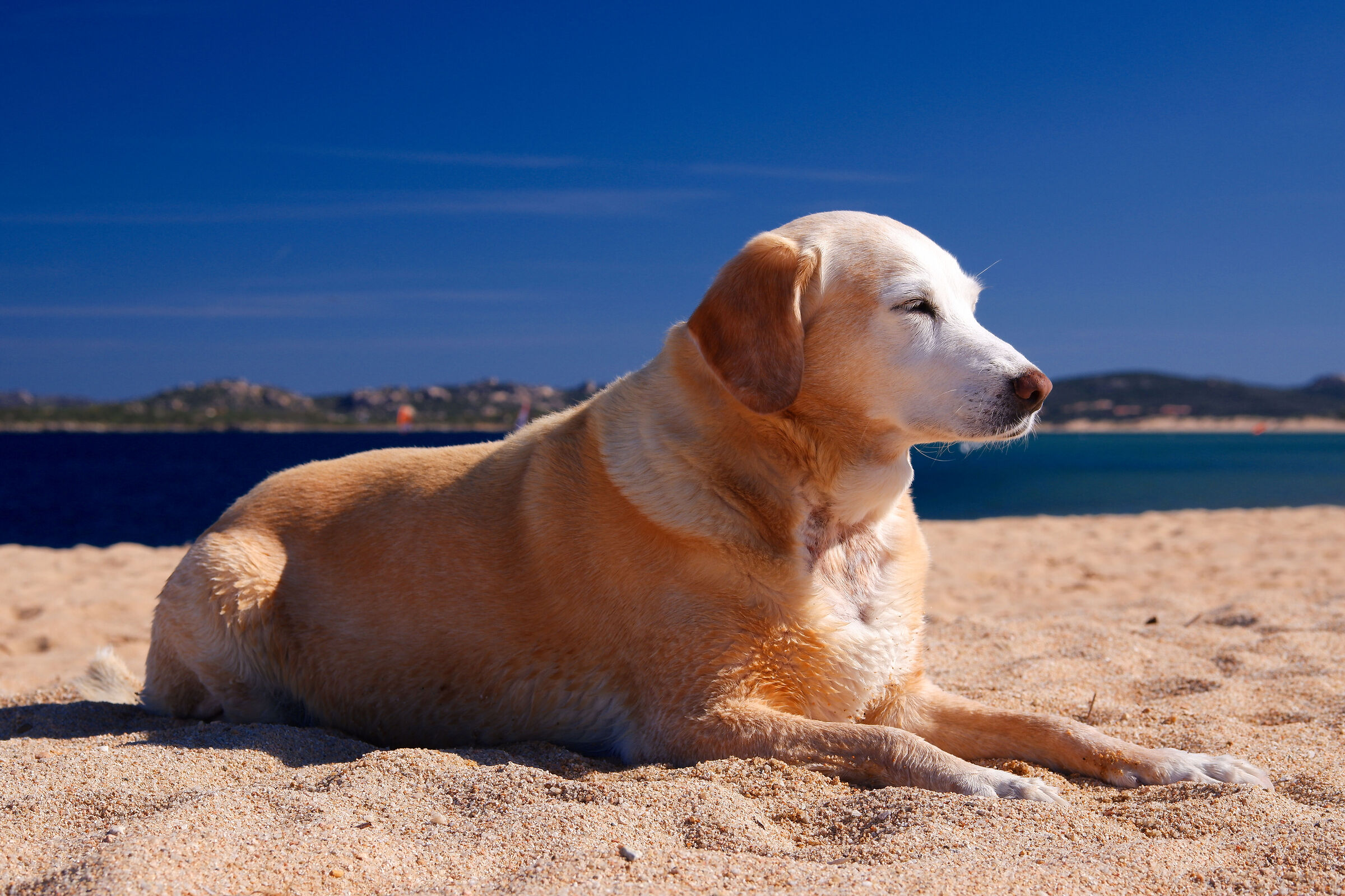 Principessa al bagno