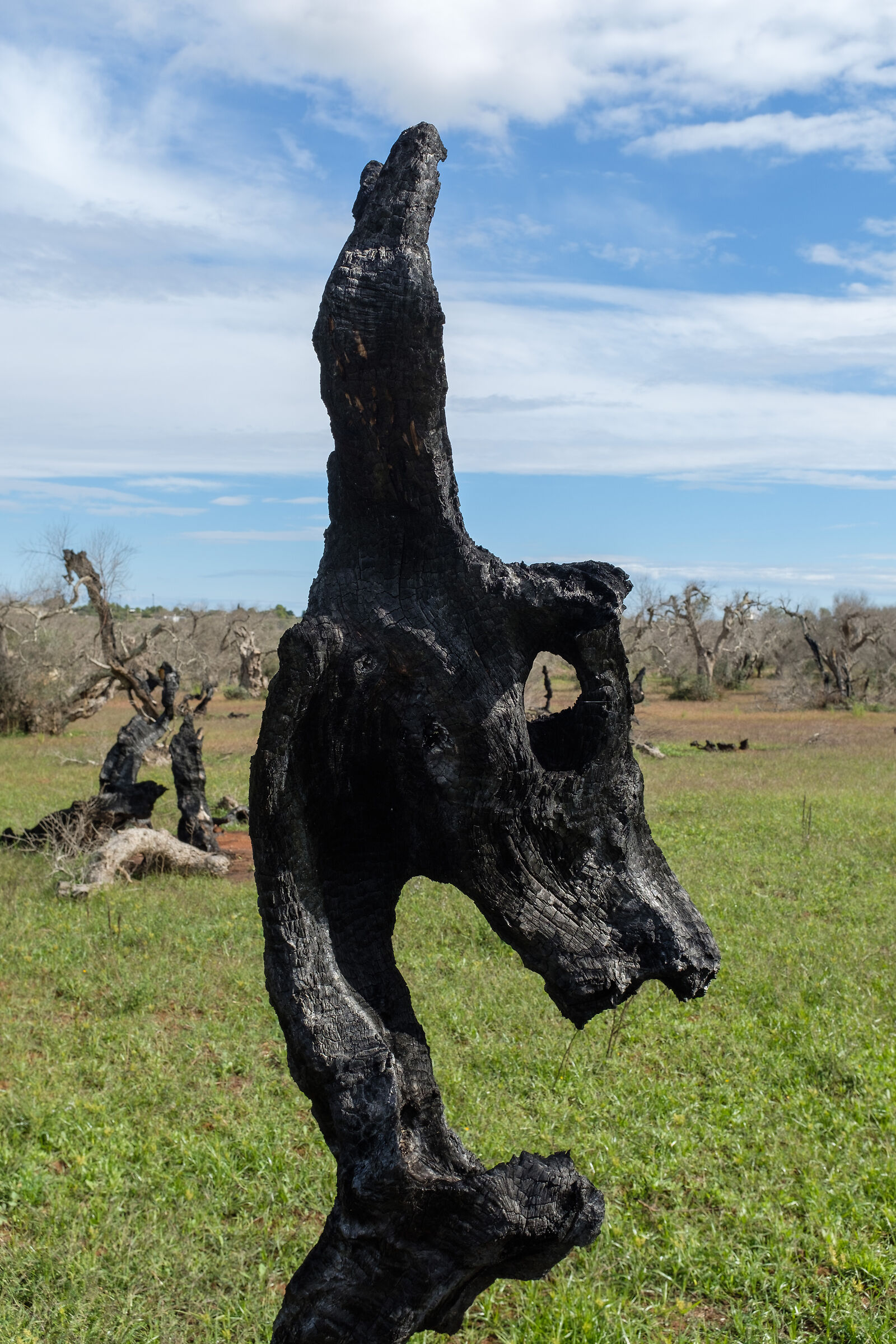 Unicorno scolpito dal fuoco