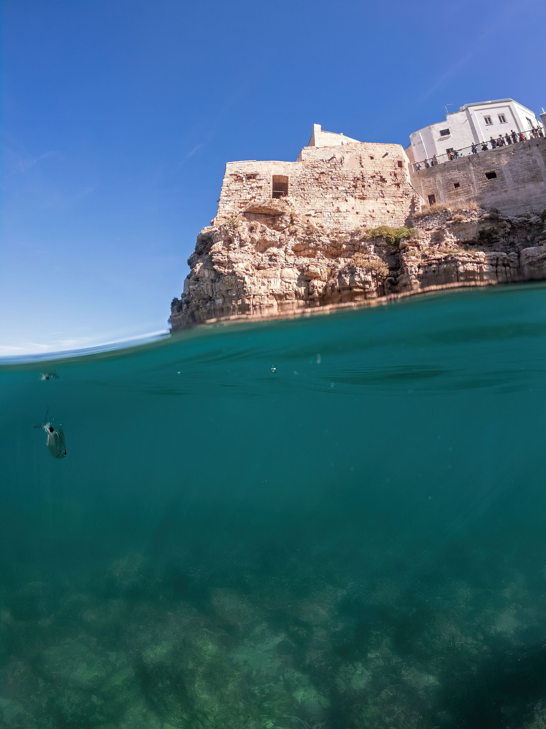 polignano a mare - vista alternativa