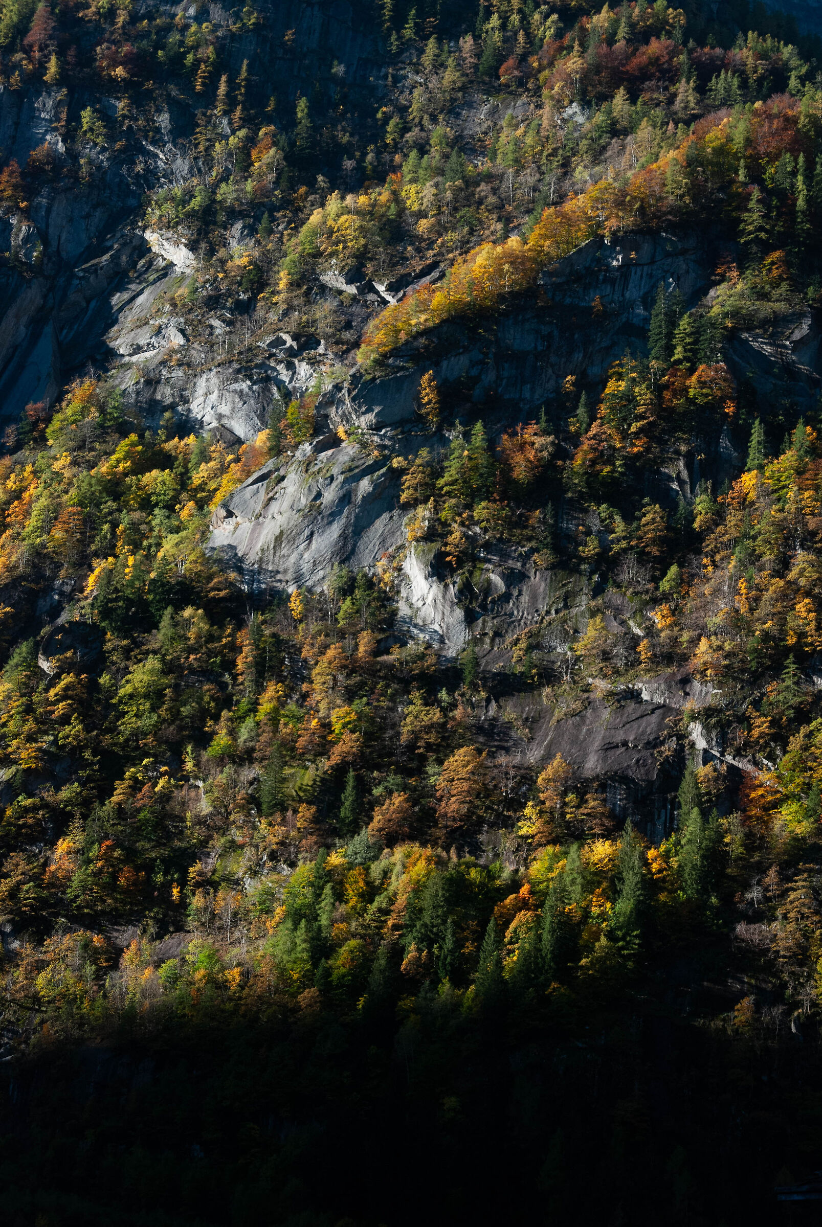 Autumn is just around the corner