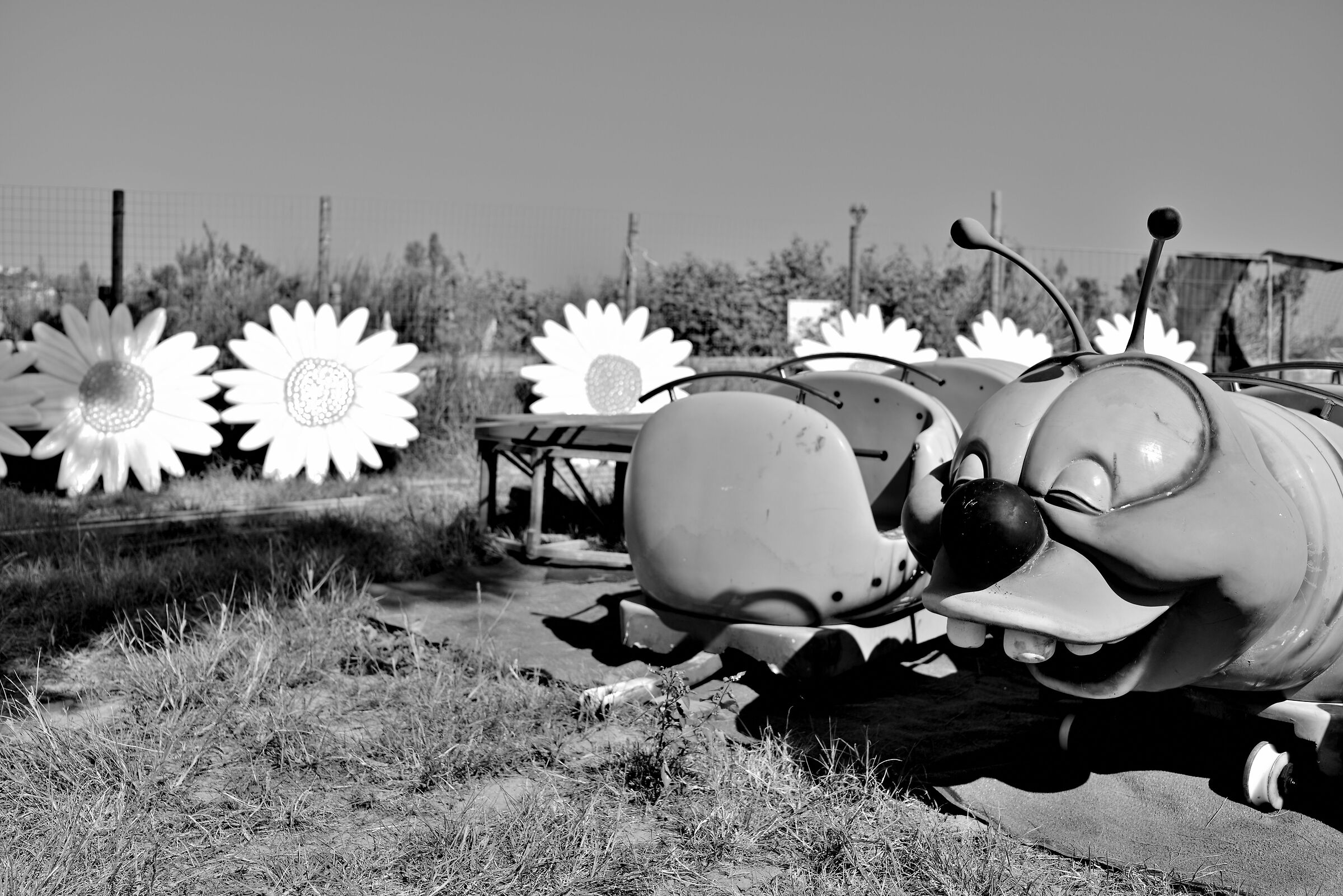 He loves me he doesn't love me