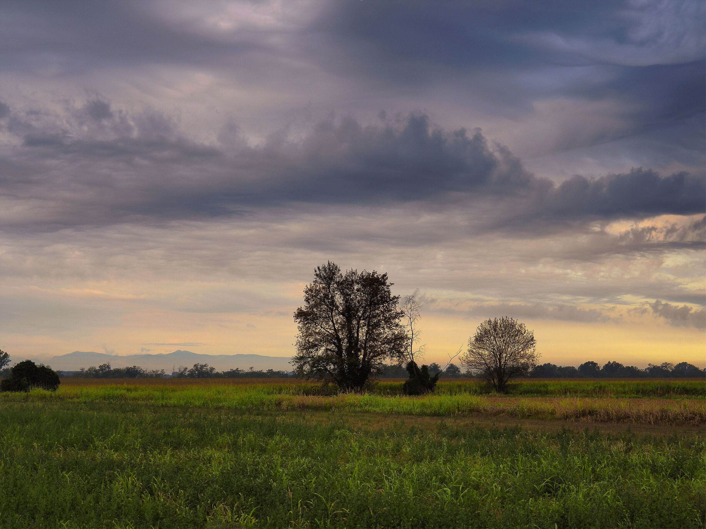 alba nuvolosa in campagna