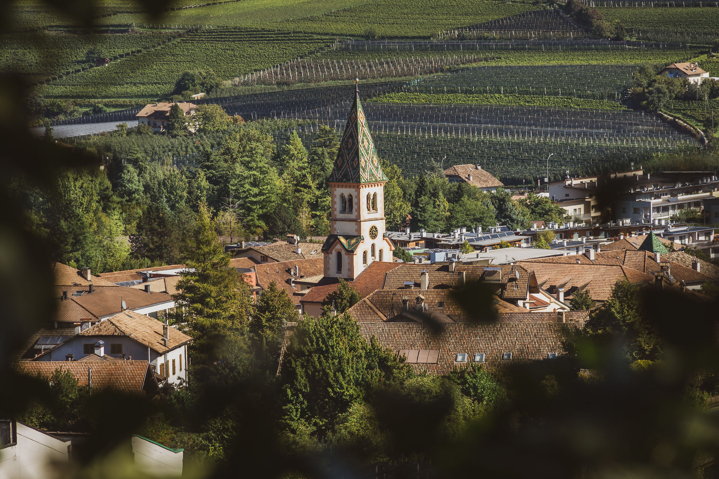 Bell tower seen from San Michele
