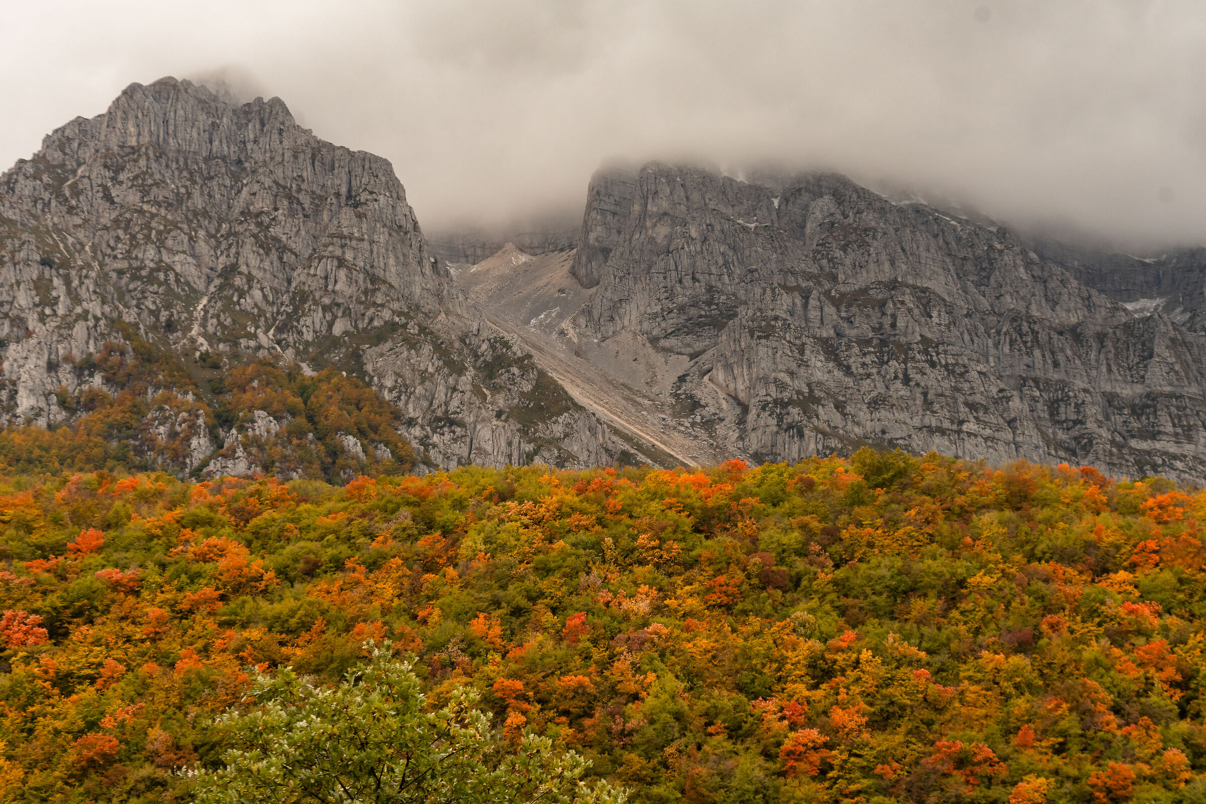 Palette in autumn greyness