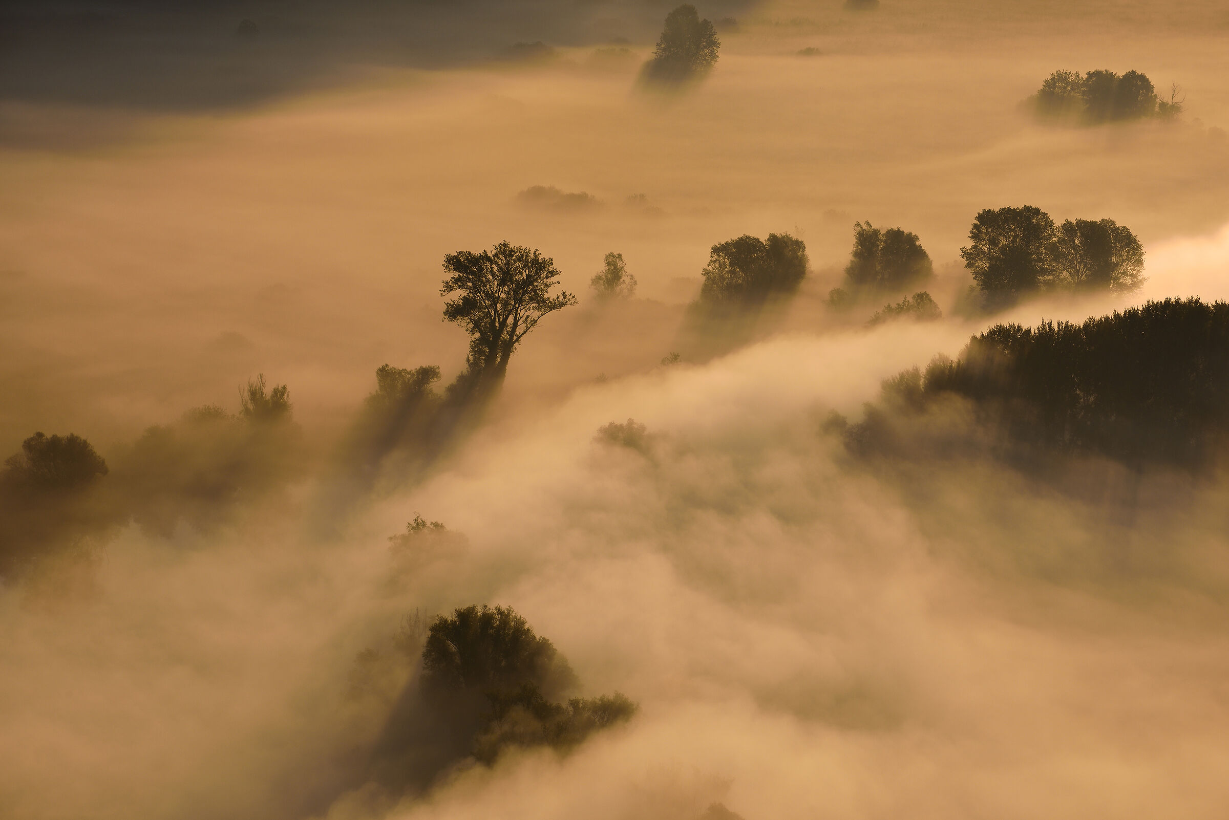 a look from above