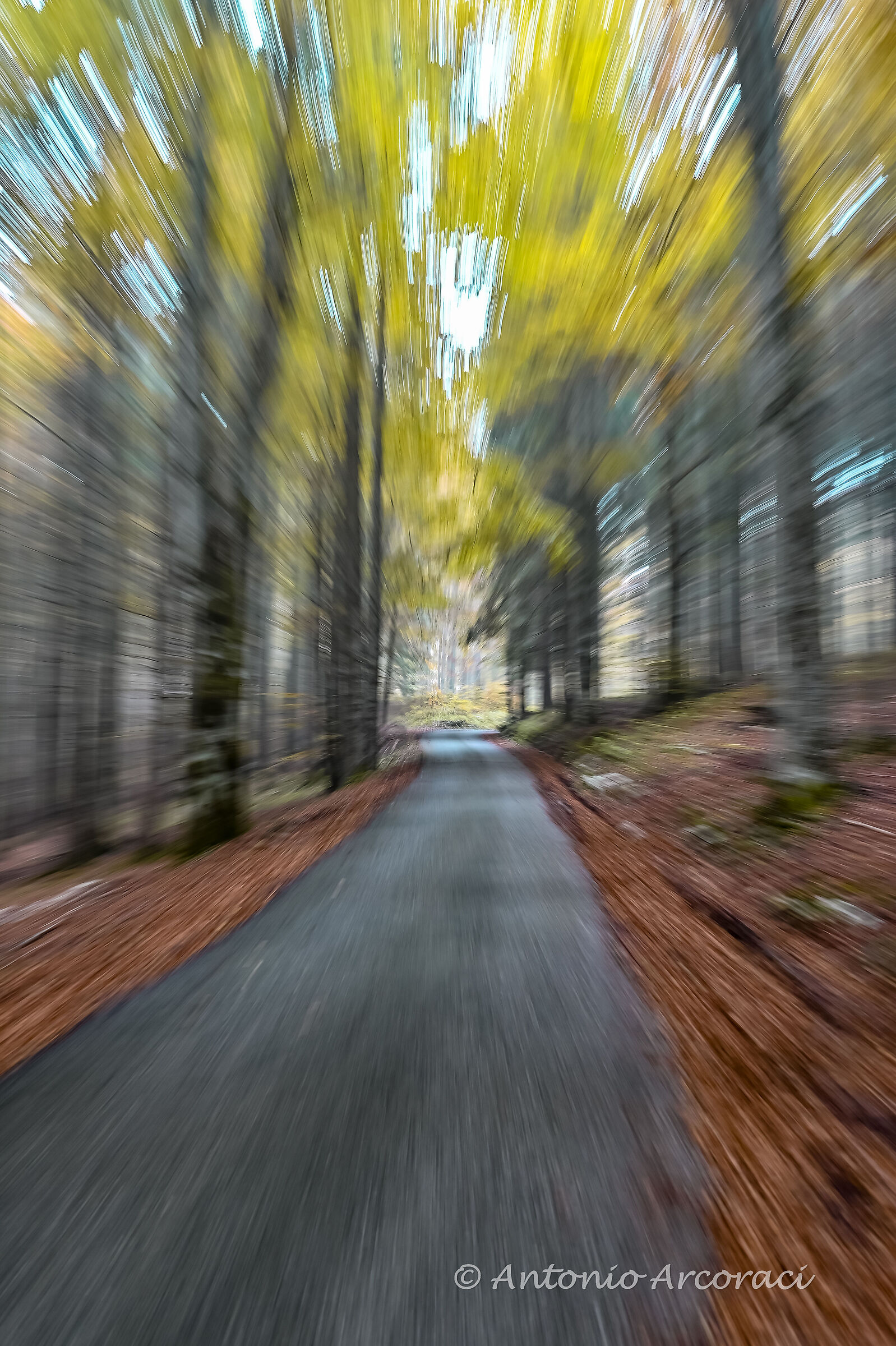 Colori dell'autunno