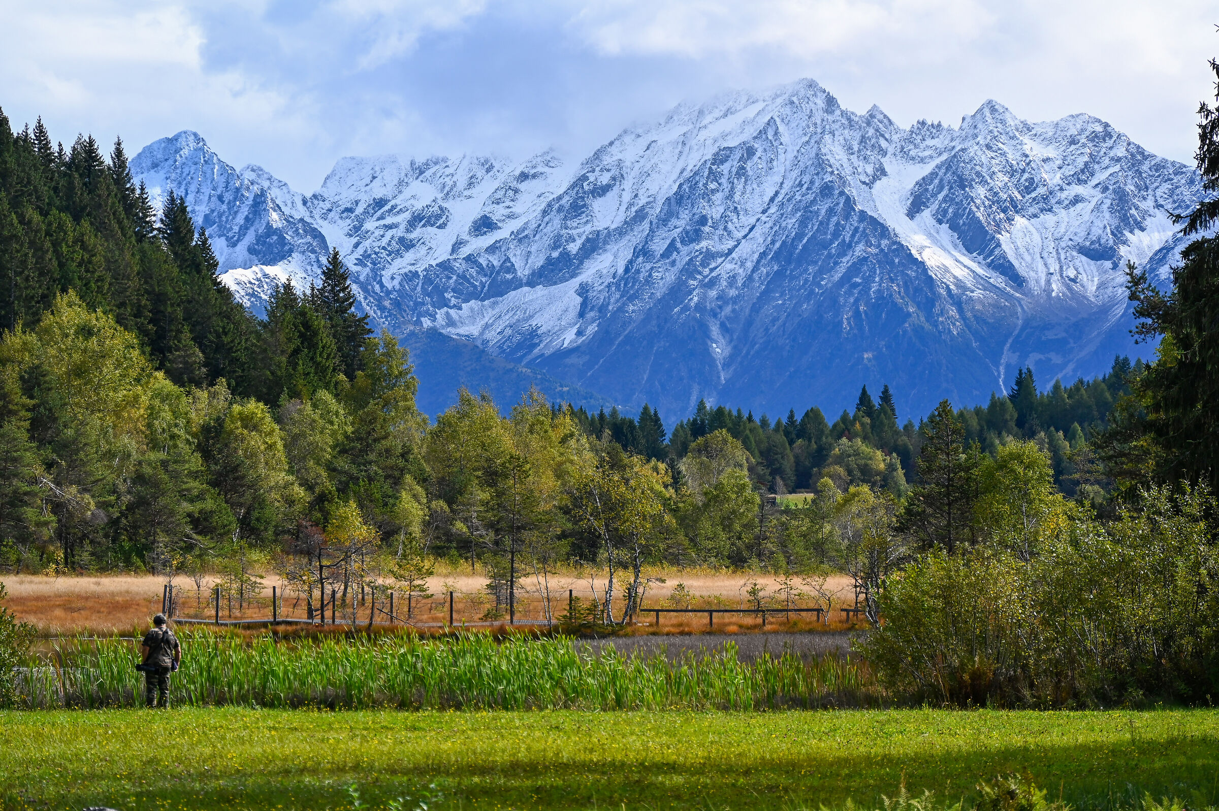 Pian di Gembro e Adamello