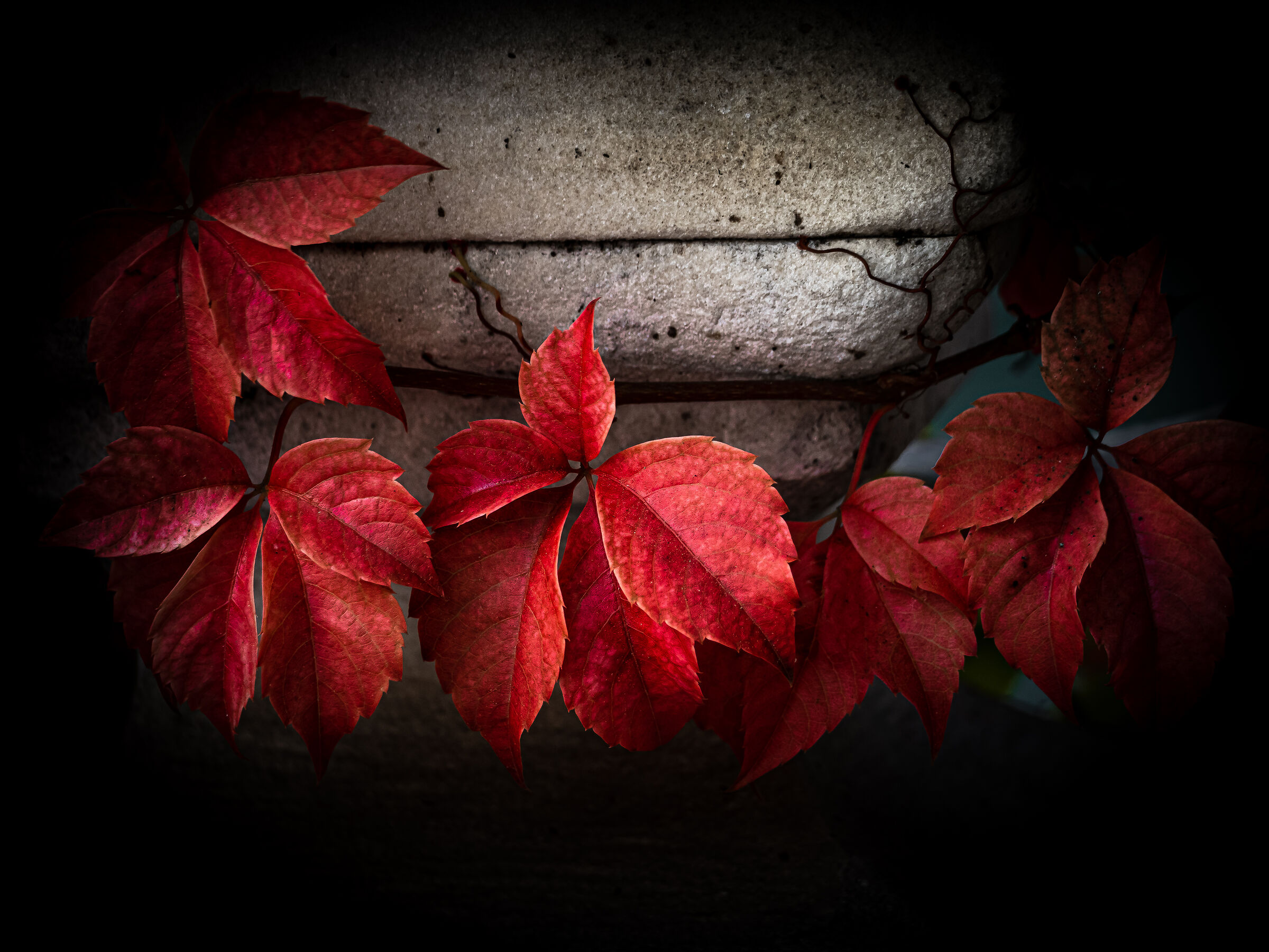 Rosso autunnale.....