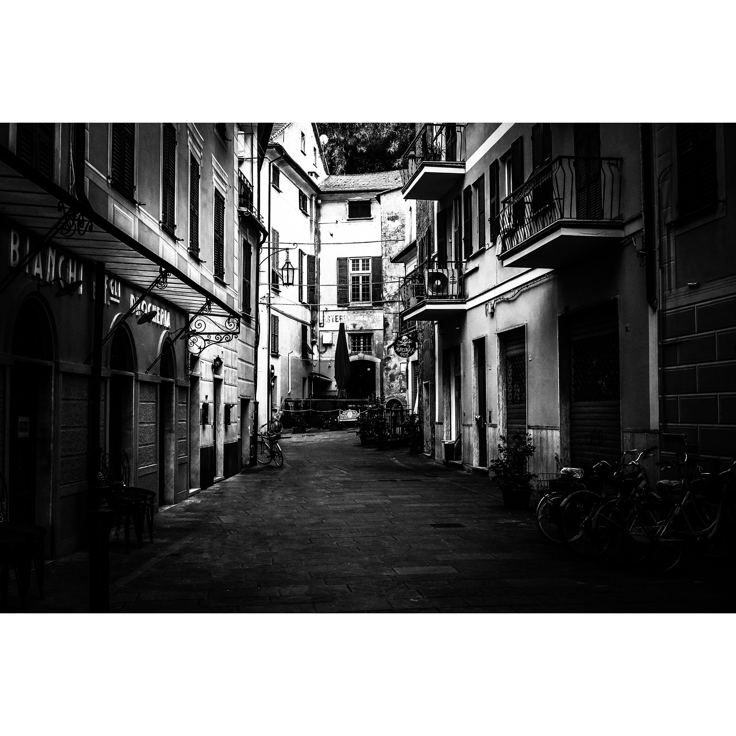 Untitled Photo