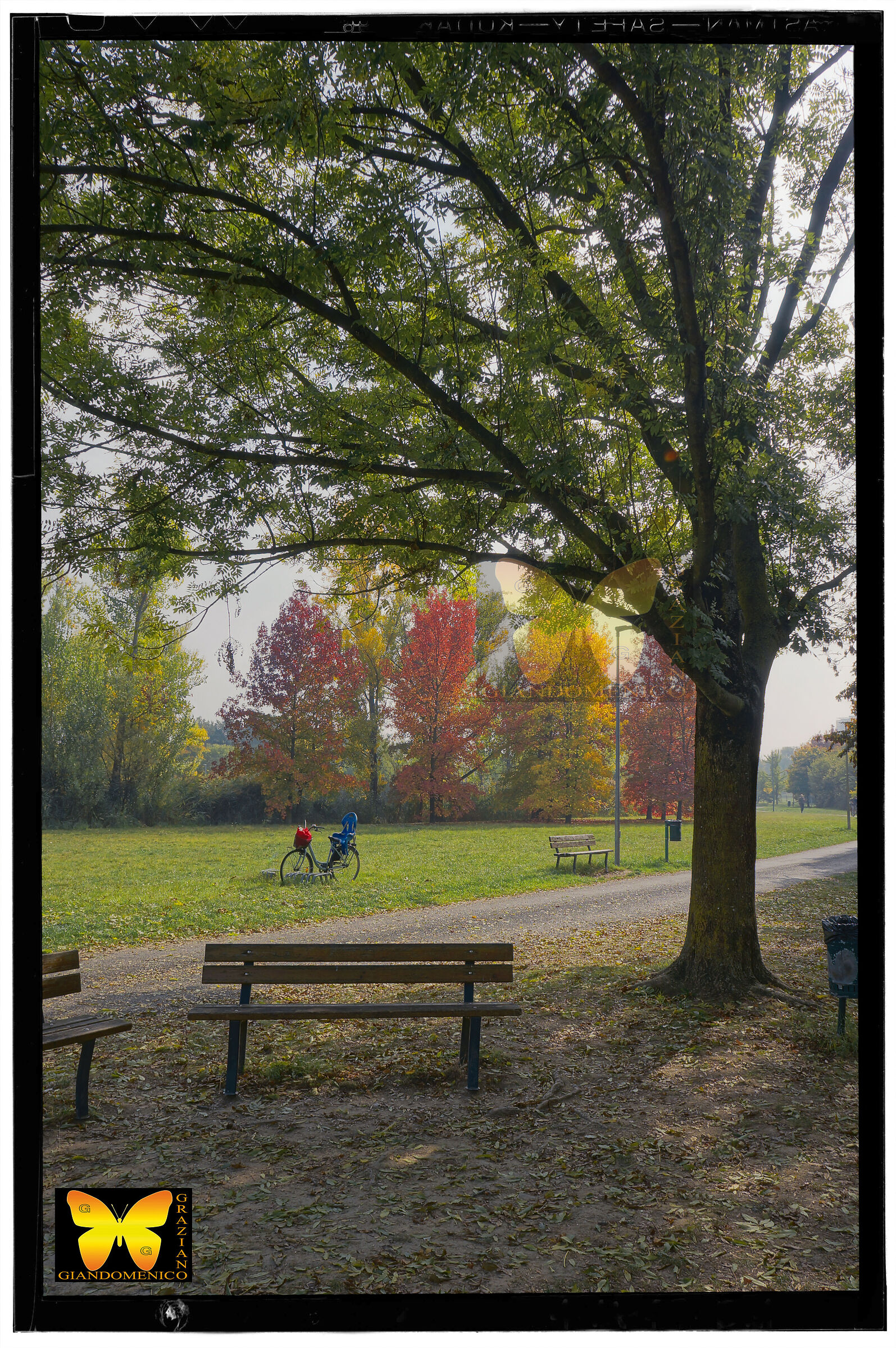 passeggate autunnali