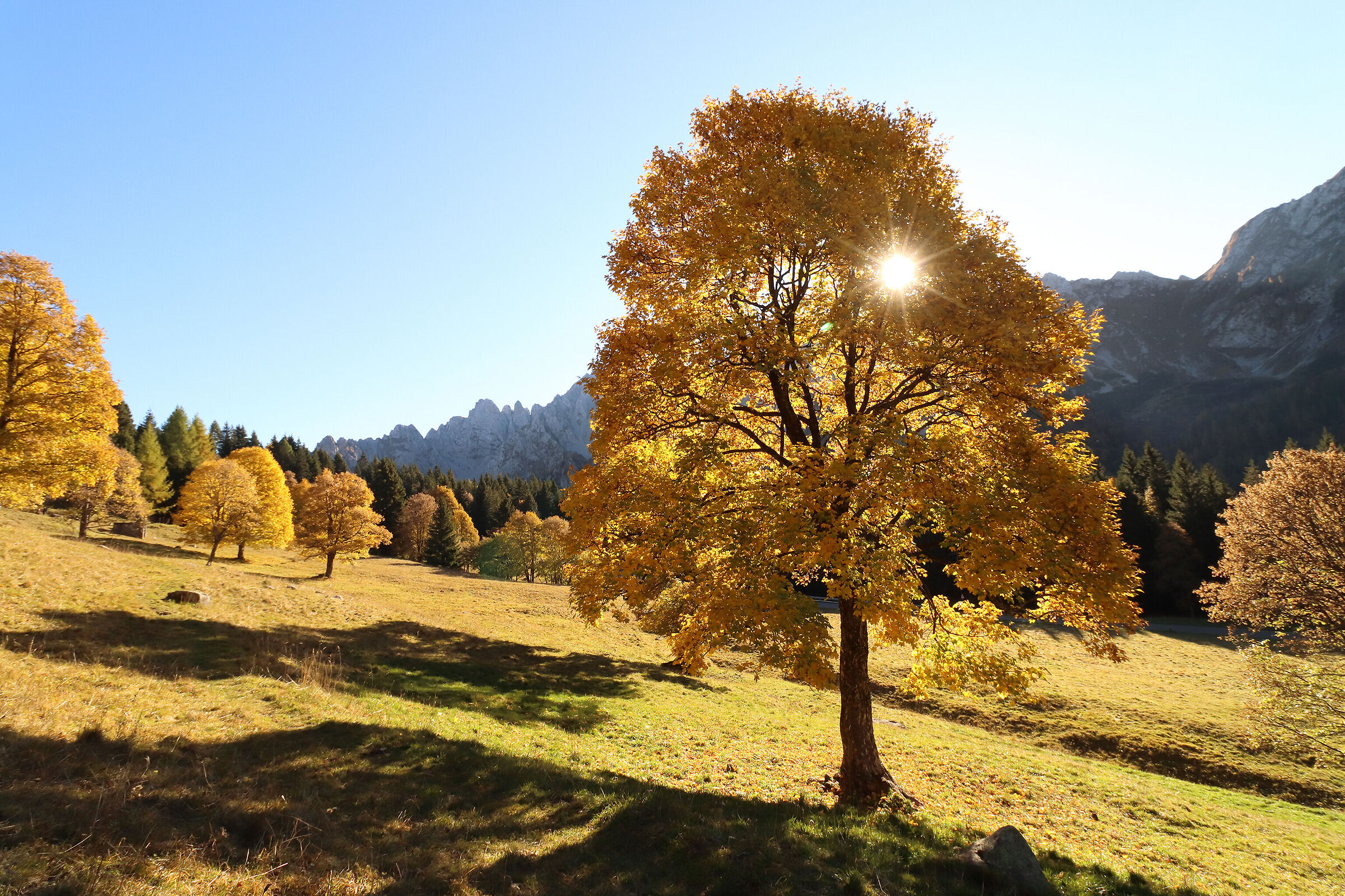 primo autunno ai Campelli