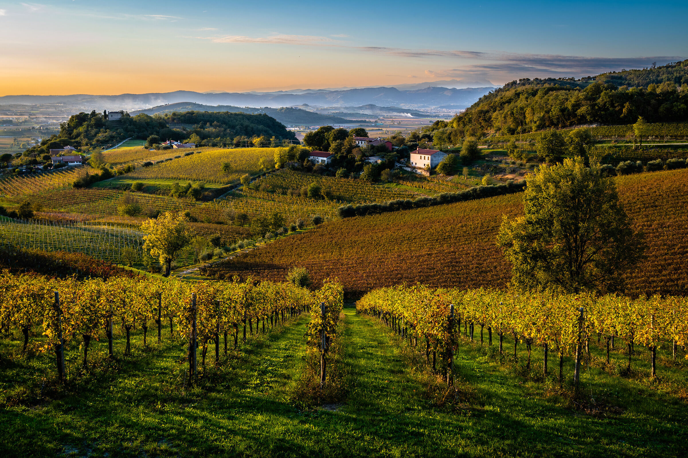 Passo del Vento, la strada del vino