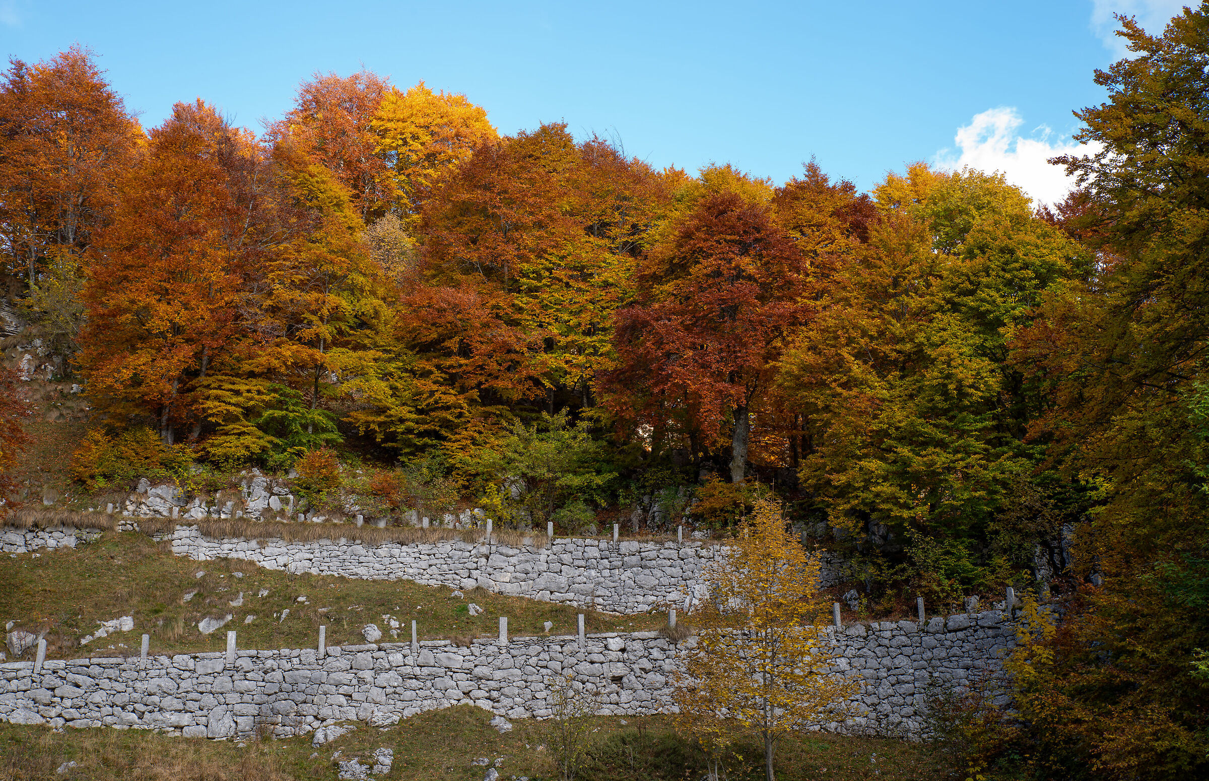 Road in Lessinia in Autumn